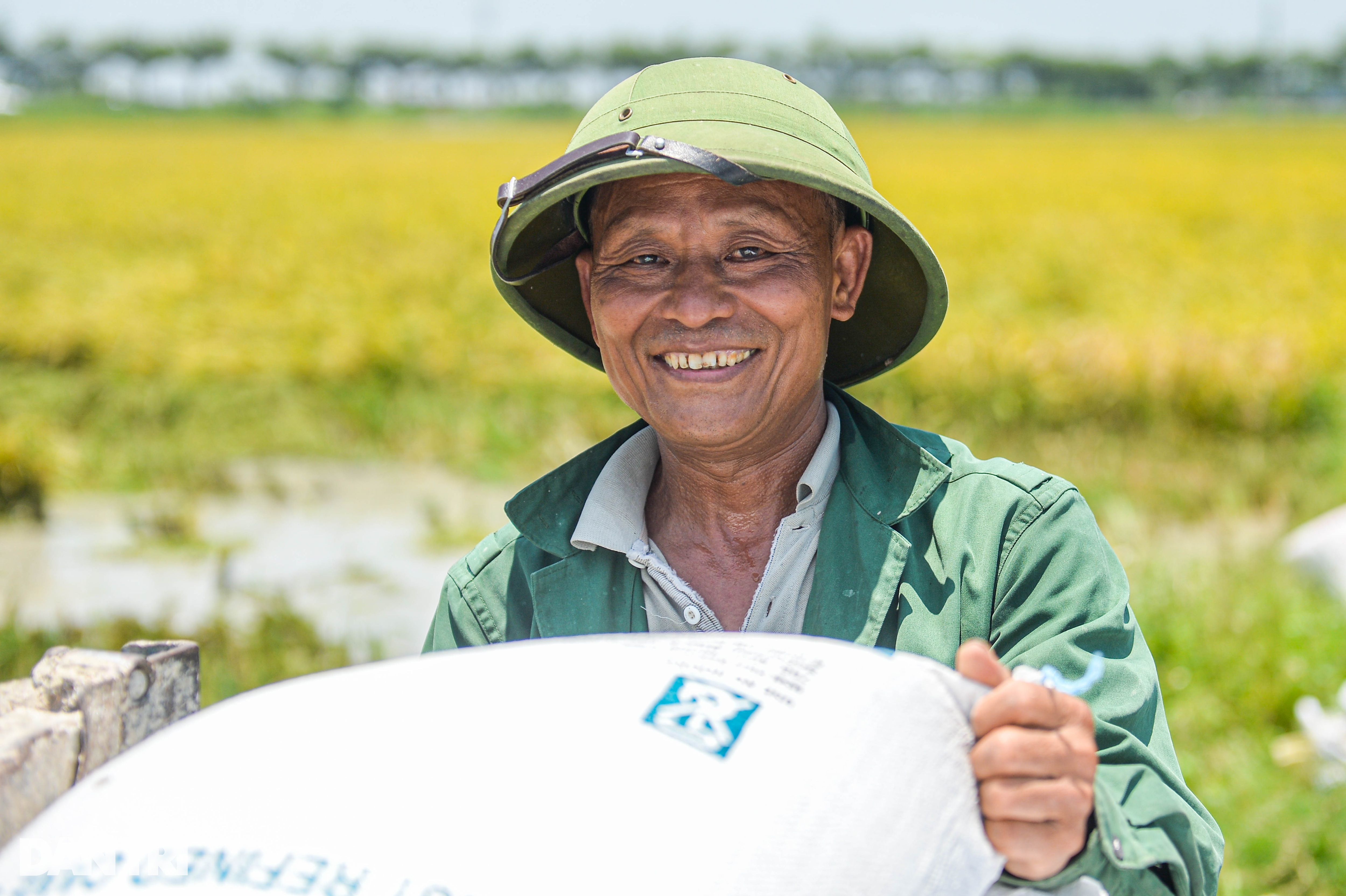 Hà Nội: Đội nắng gặt lúa thông trưa, chủ máy đút túi 5 triệu mỗi ngày - 12