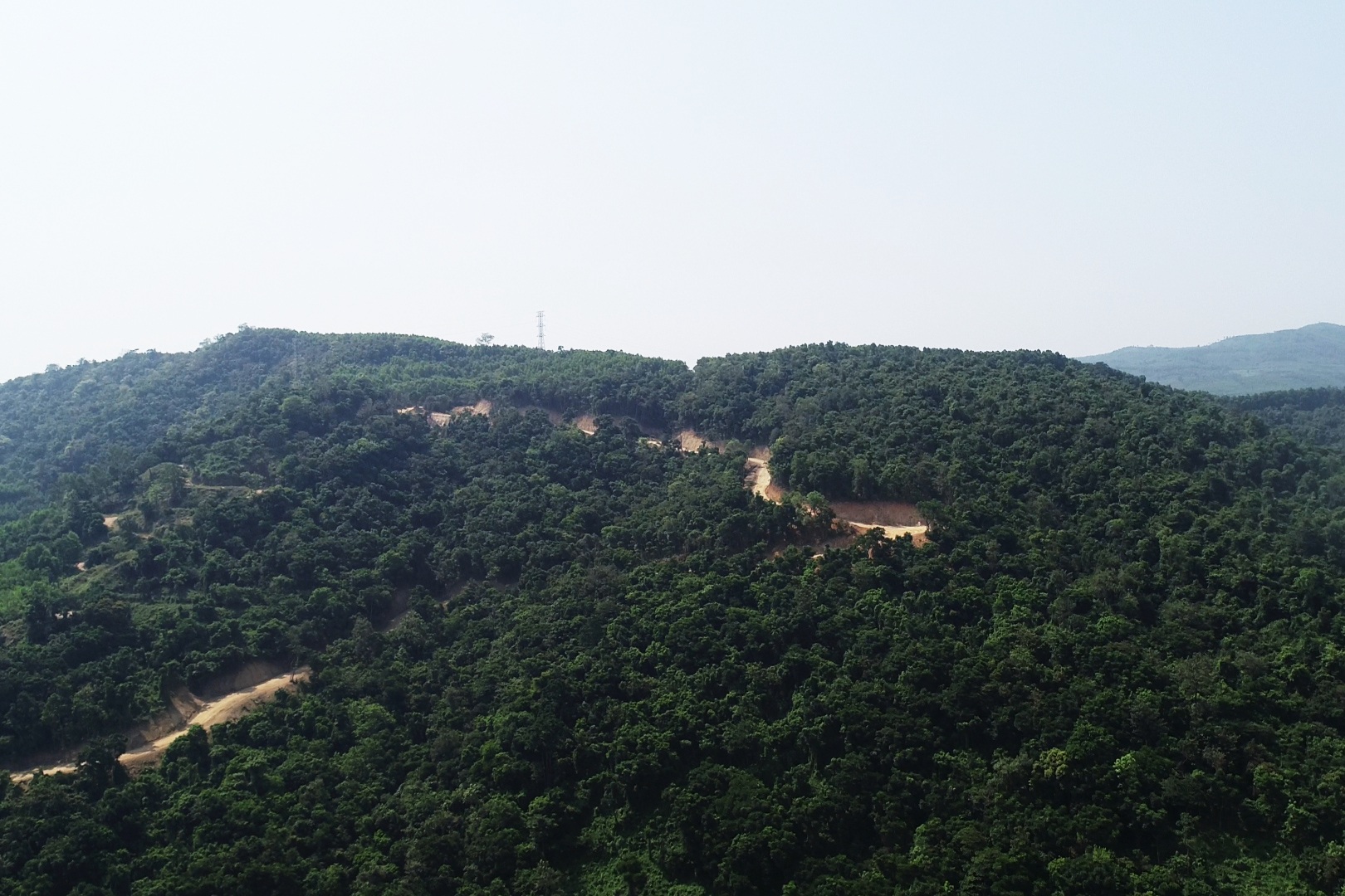 Quảng Ngãi: Kiểm lâm điều tra vụ phá rừng trái phép ở dự án Kfw6 - 1