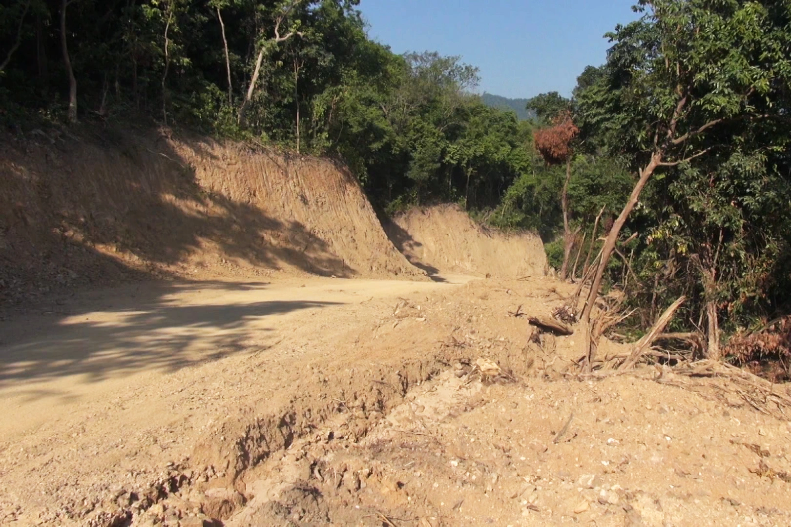 Quảng Ngãi: Kiểm lâm điều tra vụ phá rừng trái phép ở dự án Kfw6 - 3