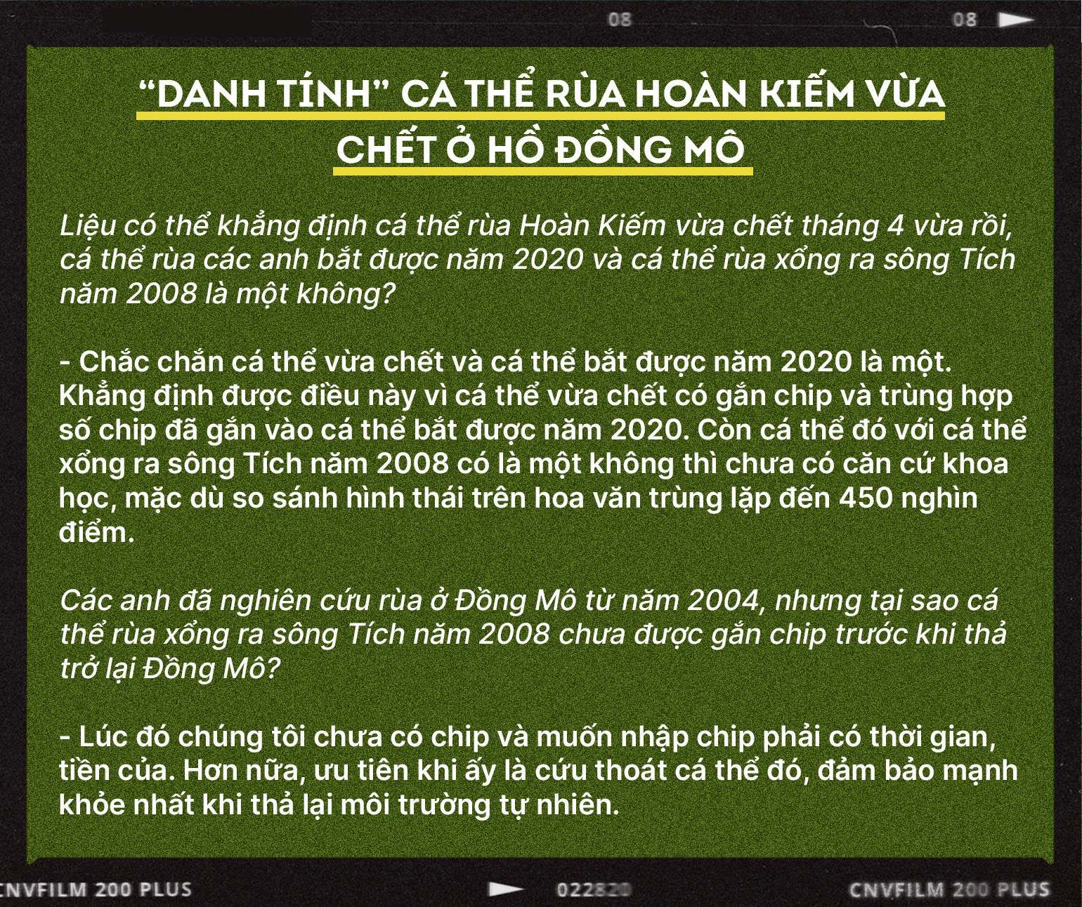 Cá thể rùa 150kg ở Đồng Mô từng dìm thuyền của chúng tôi chúi xuống nước - 8