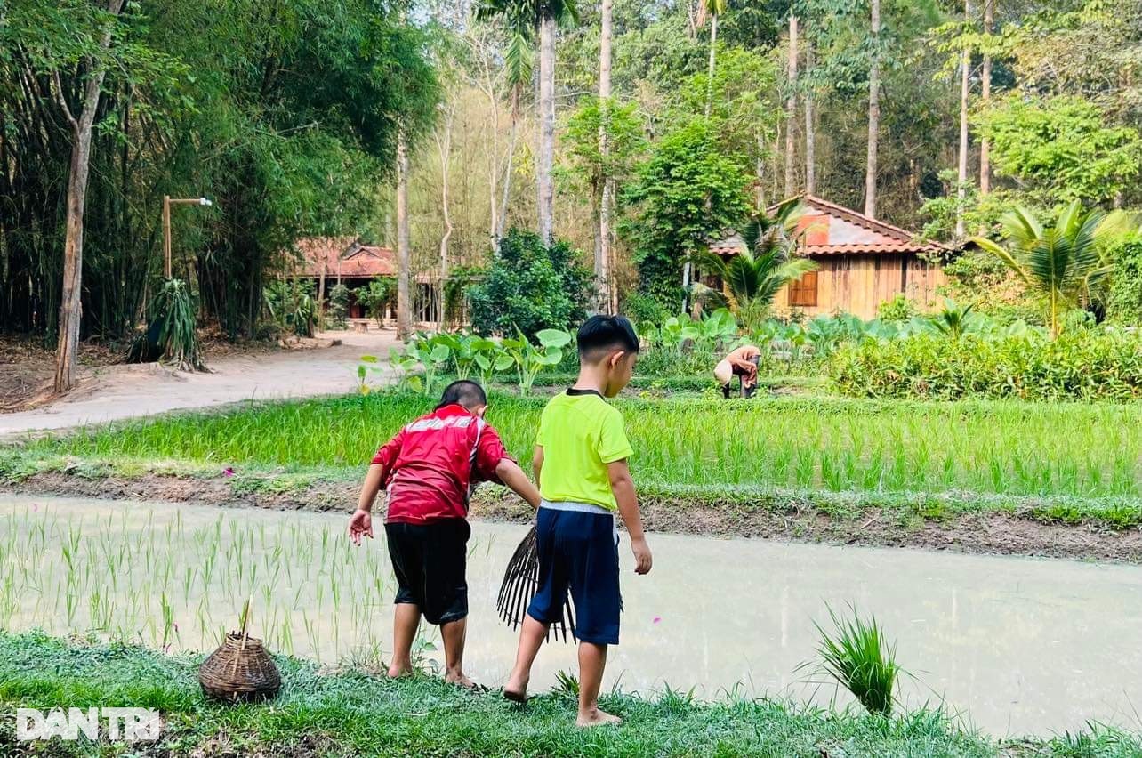 Âm thanh sợ nhất mùa hè là tiếng mẹ từ trên cao vọng xuống - 1