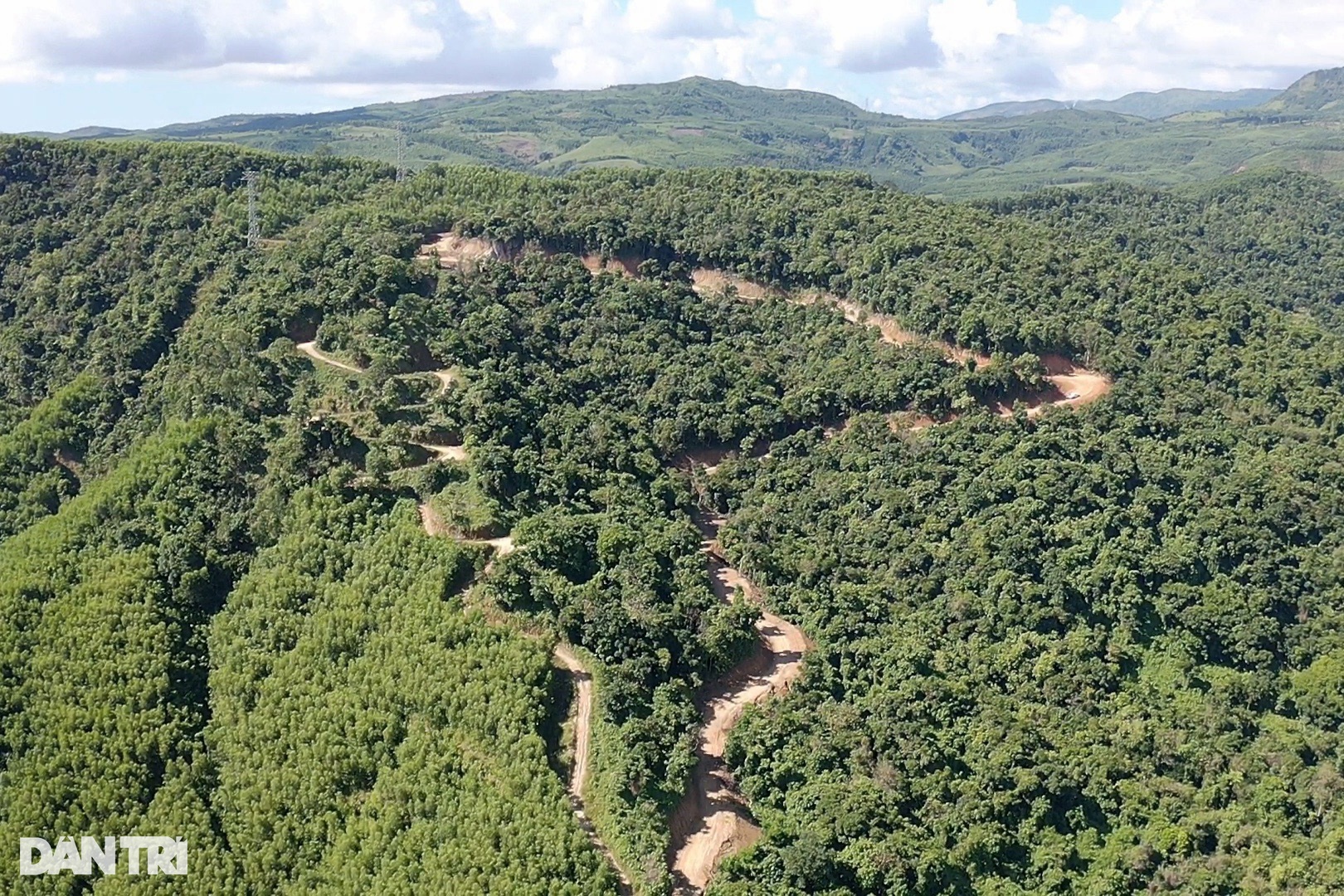 Cận cảnh khu vực phá rừng làm đường được Phó Thủ tướng yêu cầu làm rõ - 1