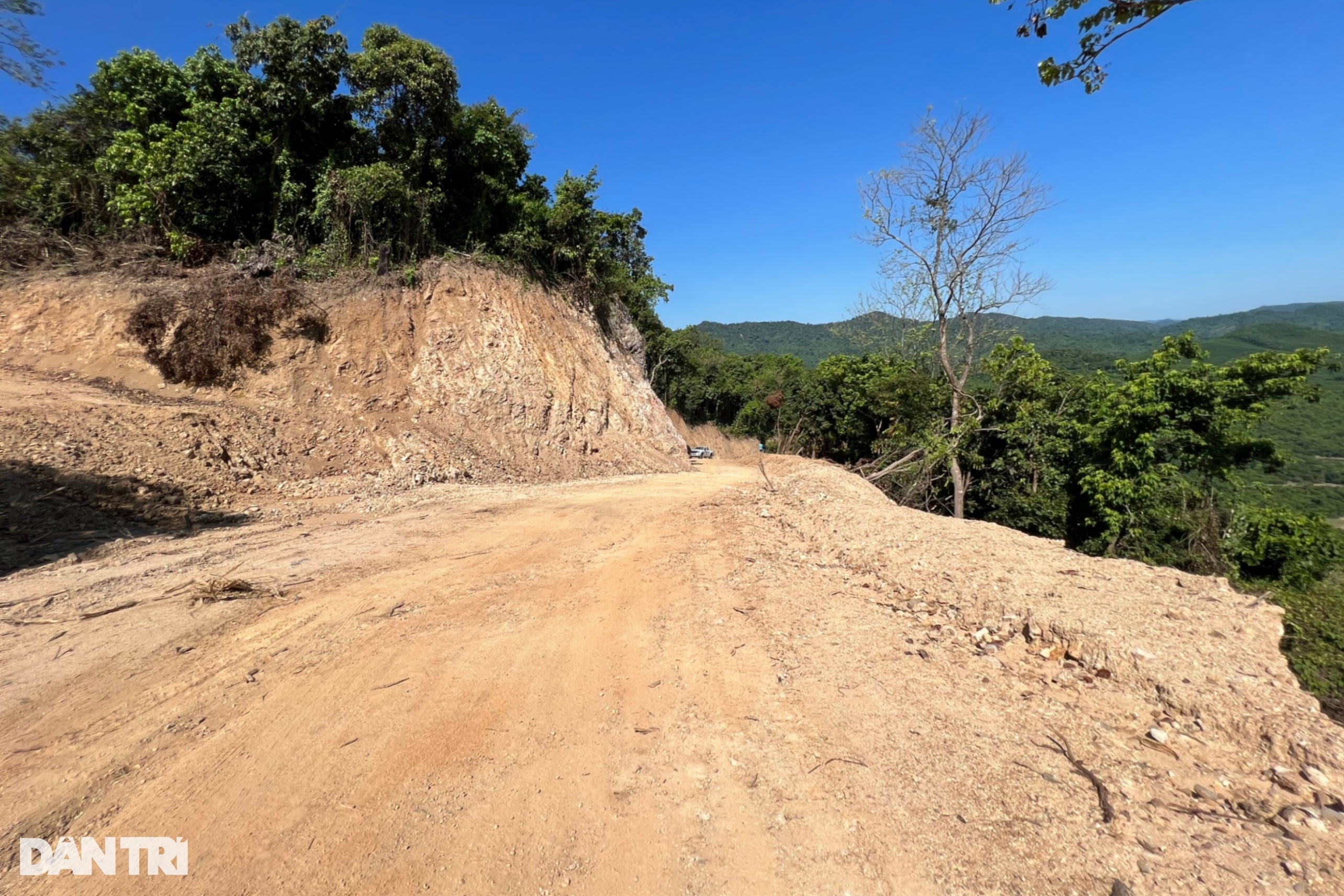 Cận cảnh khu vực phá rừng làm đường được Phó Thủ tướng yêu cầu làm rõ - 4