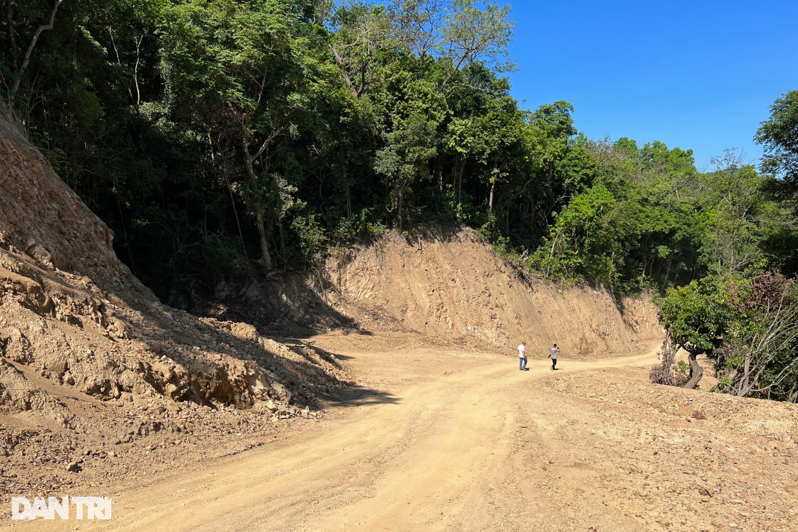 Cận cảnh khu vực phá rừng làm đường được Phó Thủ tướng yêu cầu làm rõ - 10