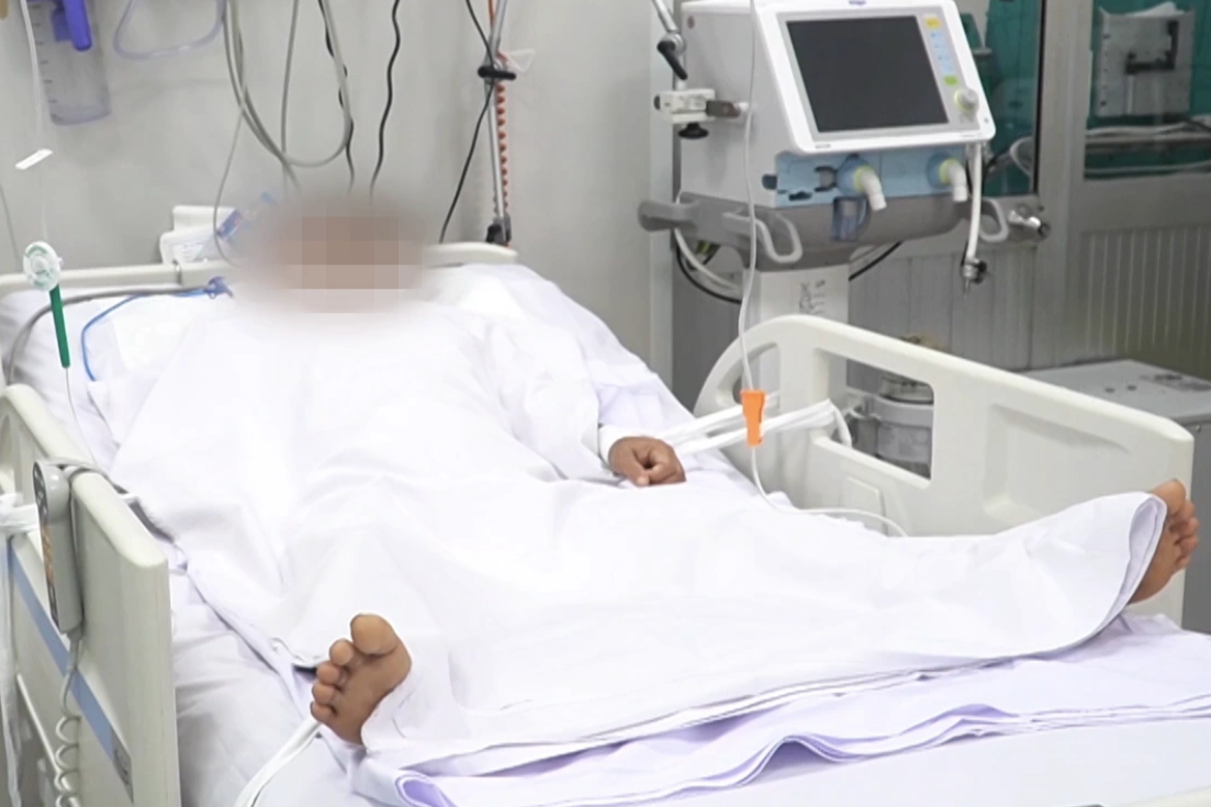 Hái nấm xào ăn: Chồng tử vong, vợ con nguy kịch phải cấp cứu ở TPHCM - 1