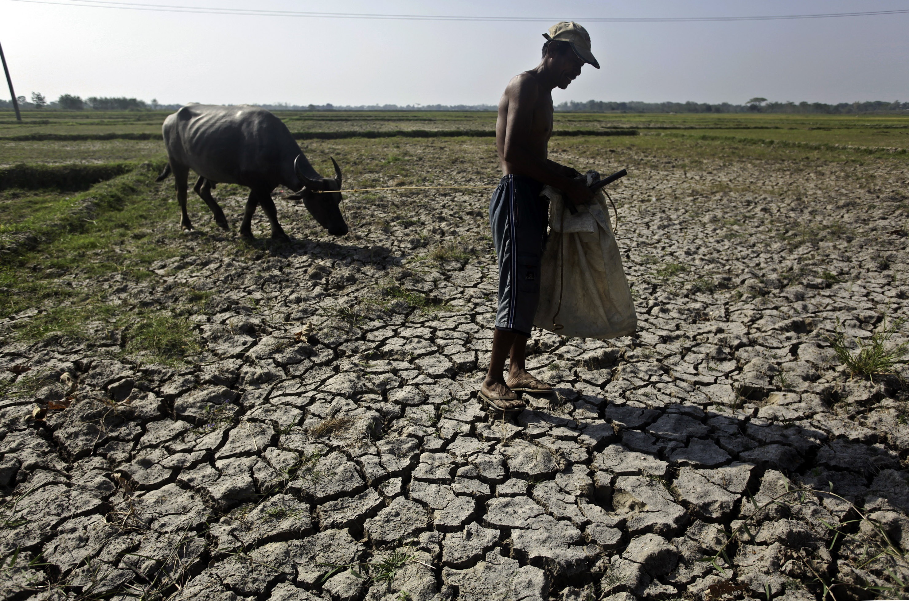 El Nino có thể khiến kinh tế thế giới "bay hơi" hàng nghìn tỷ USD