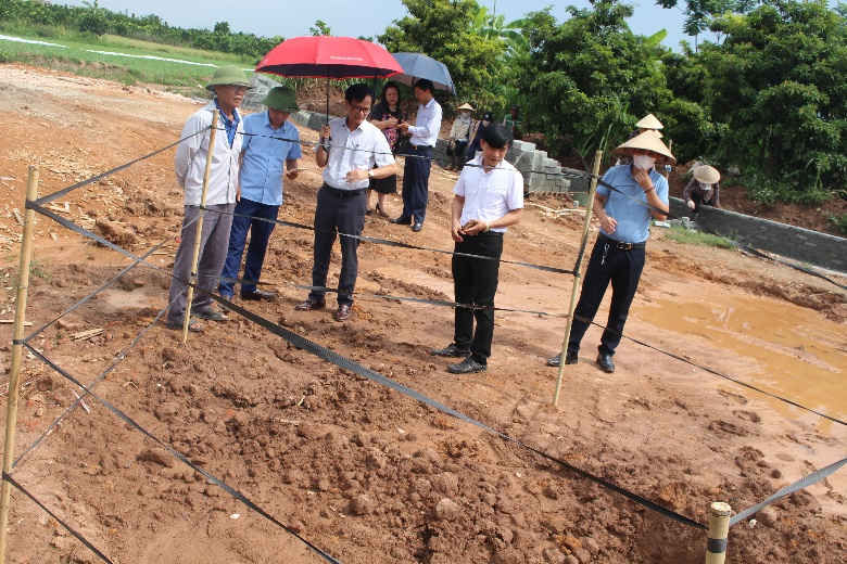 Đề xuất khai quật khẩn cấp mộ gạch vừa phát hiện ở Hà Nội - 1