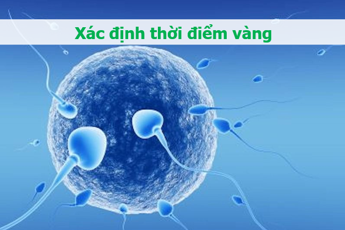 Làm 5 việc này sẽ giúp tăng cơ hội mang thai - 1