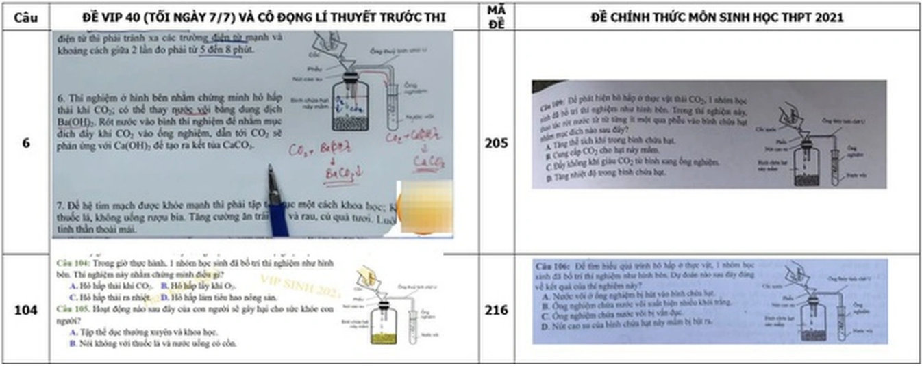 Xét xử hai giáo viên vụ lộ đề thi sinh: Người tố cáo thoát án miệng! - 2