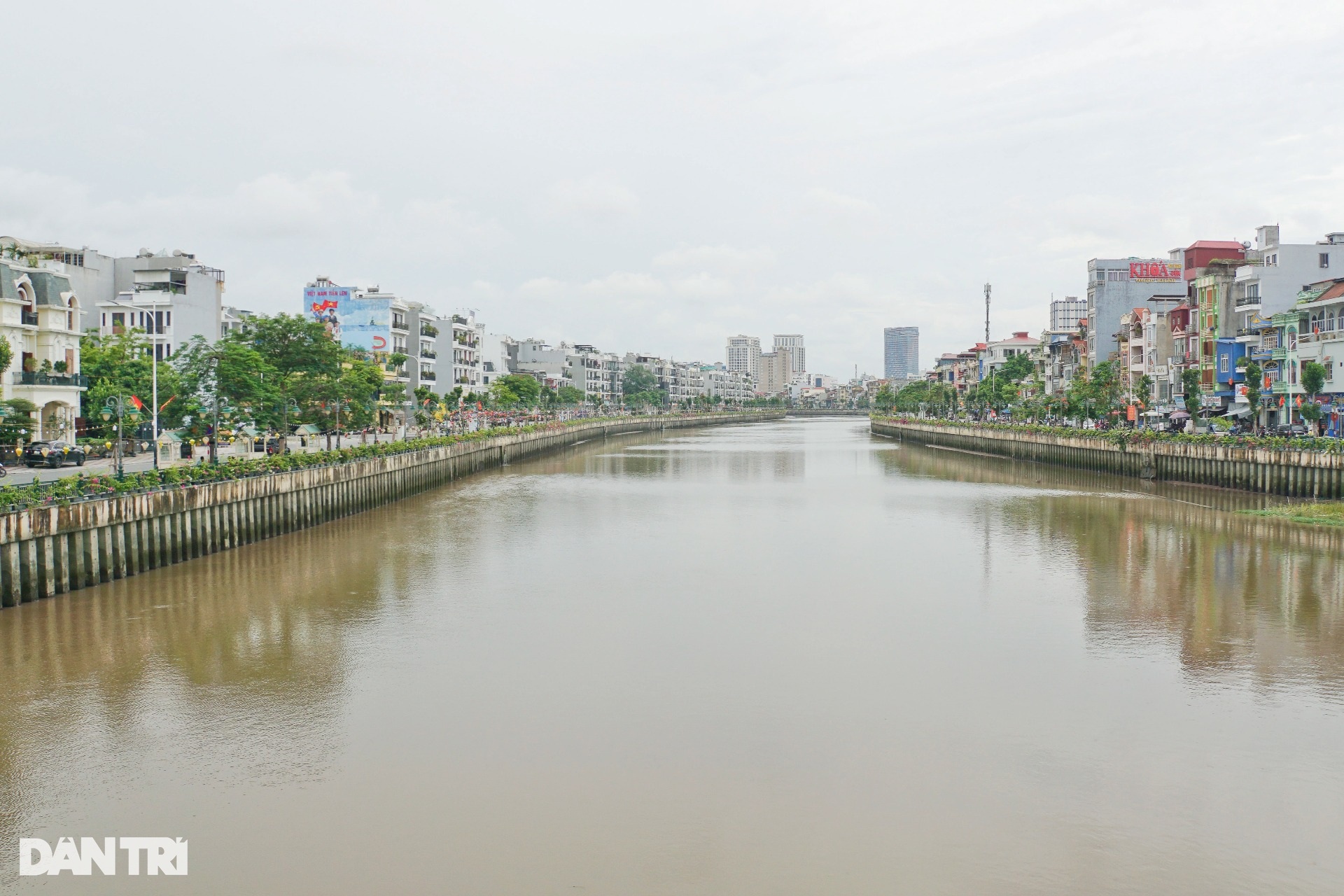 Lý do đàn thiên nga 200 con trên sông Tam Bạc chỉ còn 5 con - 1