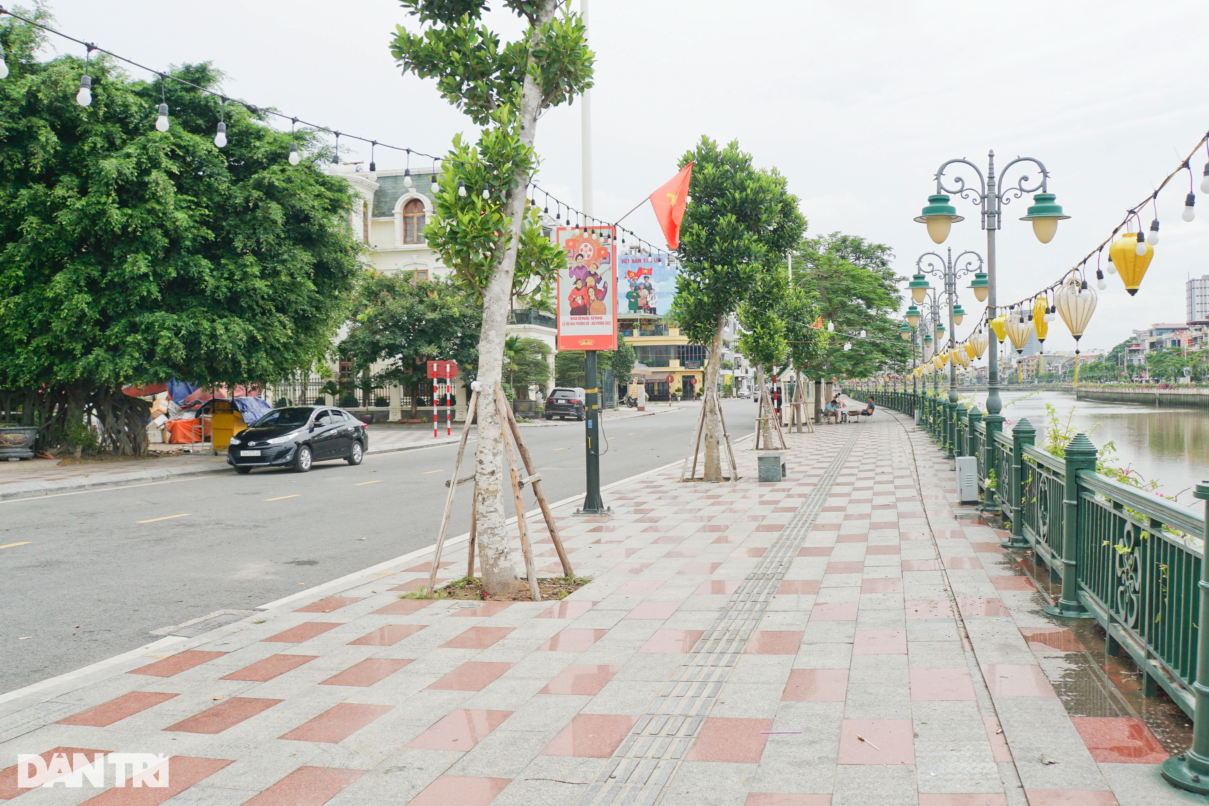 Lý do đàn thiên nga 200 con trên sông Tam Bạc chỉ còn 5 con - 2