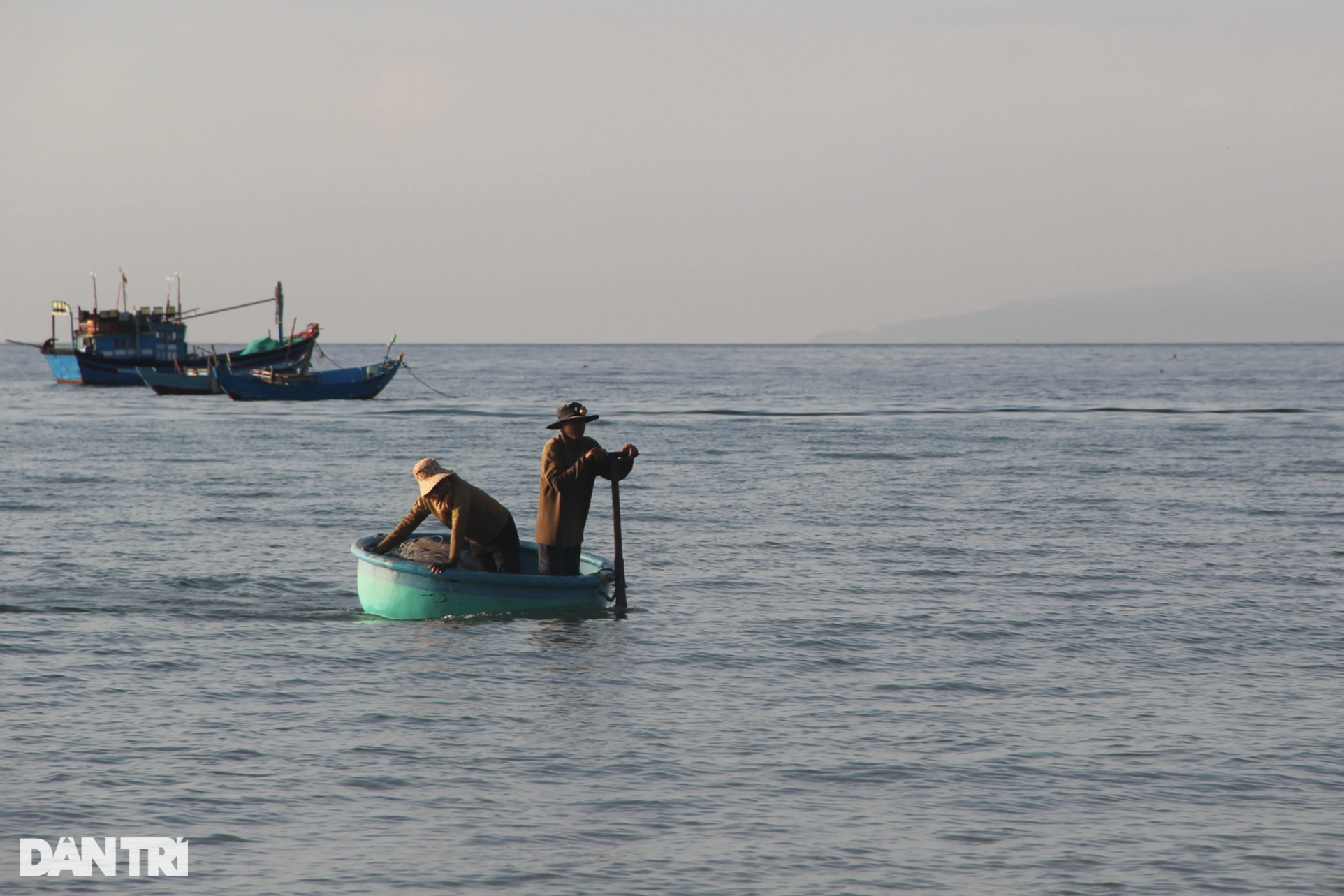 Dermaga pemancingan Long Thuy yang damai di pagi hari - 6 Bến cá Long Thủy bình yên buổi sớm mai - 6