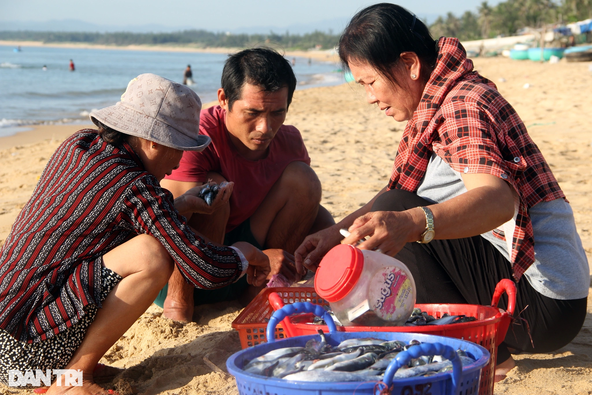 Dermaga pemancingan Long Thuy yang damai di pagi hari - 10 Bến cá Long Thủy bình yên buổi sớm mai - 10
