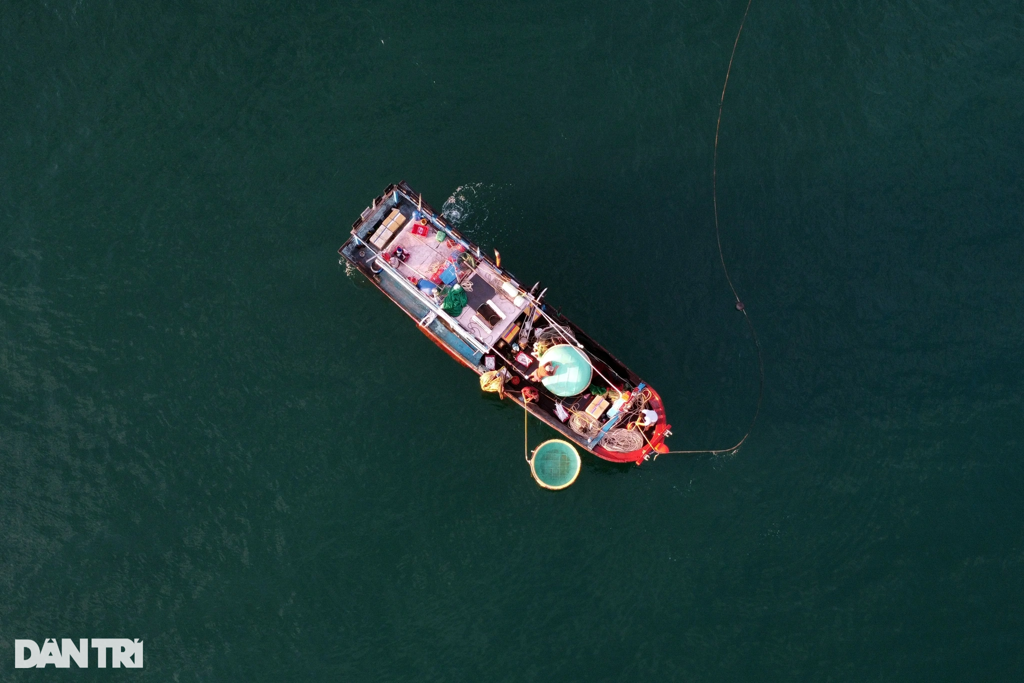 Dermaga pemancingan Long Thuy yang damai di pagi hari - 4 Bến cá Long Thủy bình yên buổi sớm mai - 4