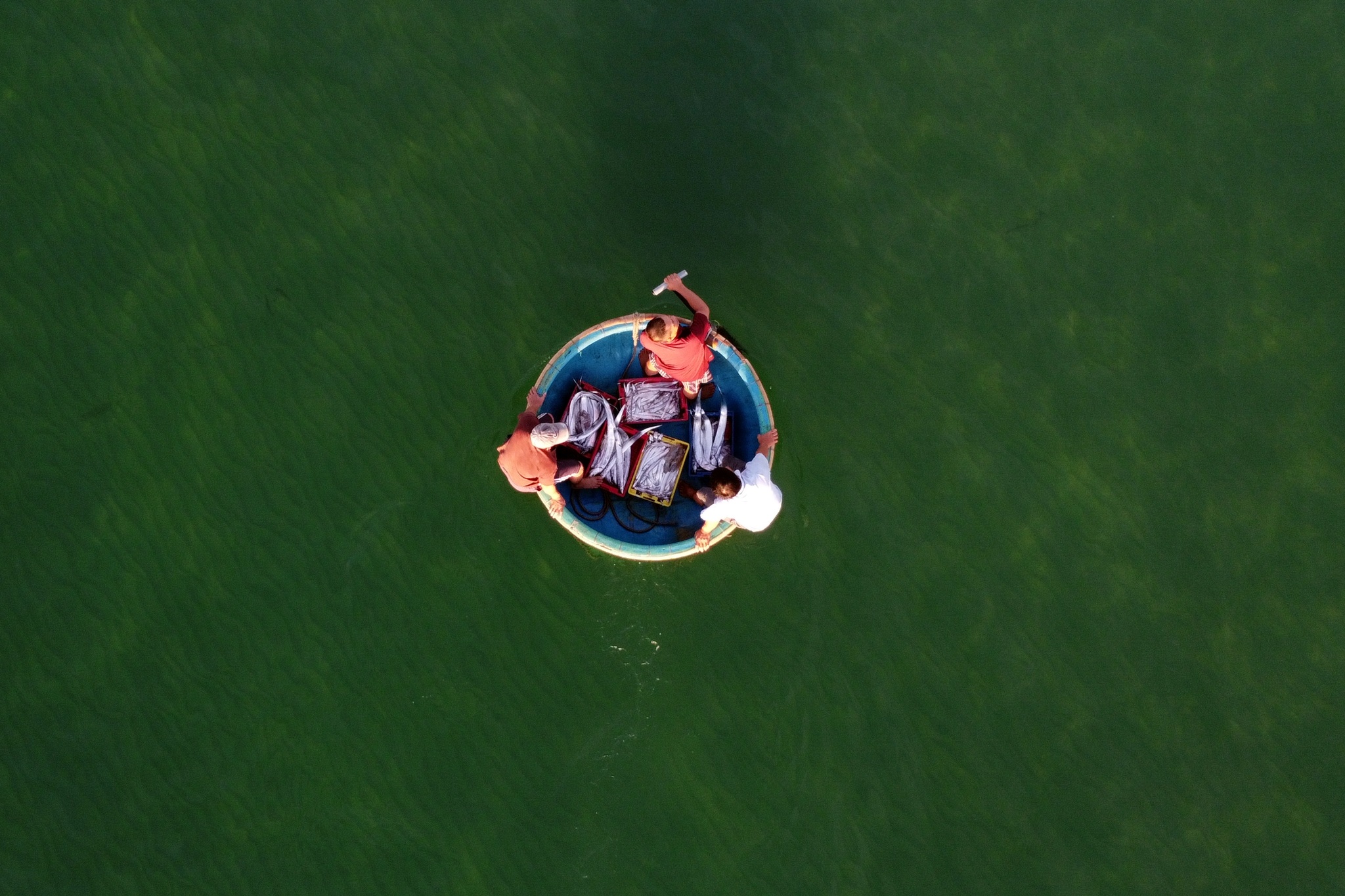 Dermaga pemancingan Long Thuy yang damai di pagi hari - 5 Bến cá Long Thủy bình yên buổi sớm mai - 5