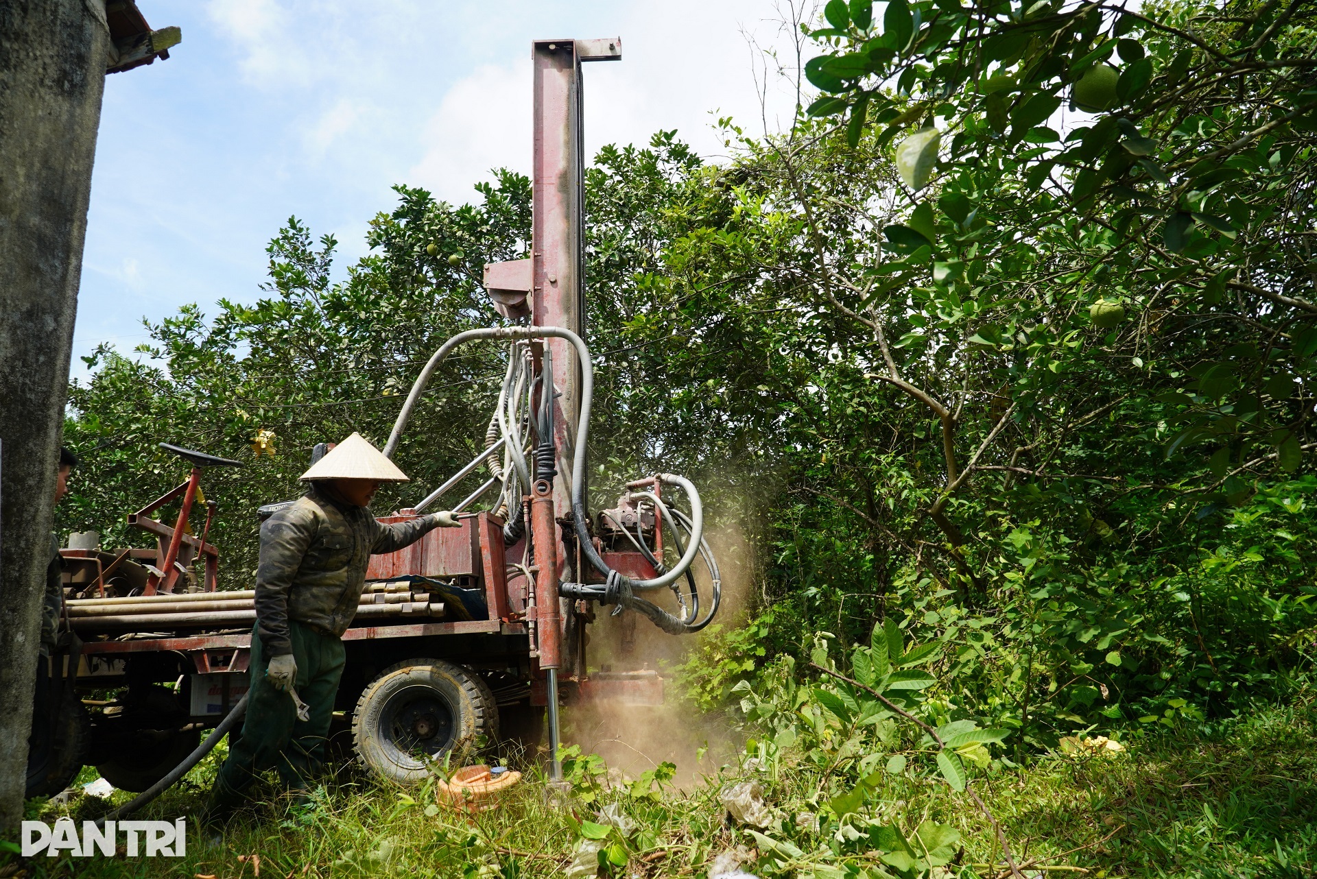 View - Chi hàng chục triệu đồng đào ao, khoan giếng chống hạn cho cây đặc sản | Báo Dân trí