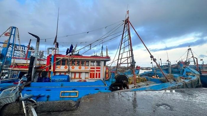 2 ngư dân tử vong trong khoang chứa cá trên tàu ở Bình Thuận - 1