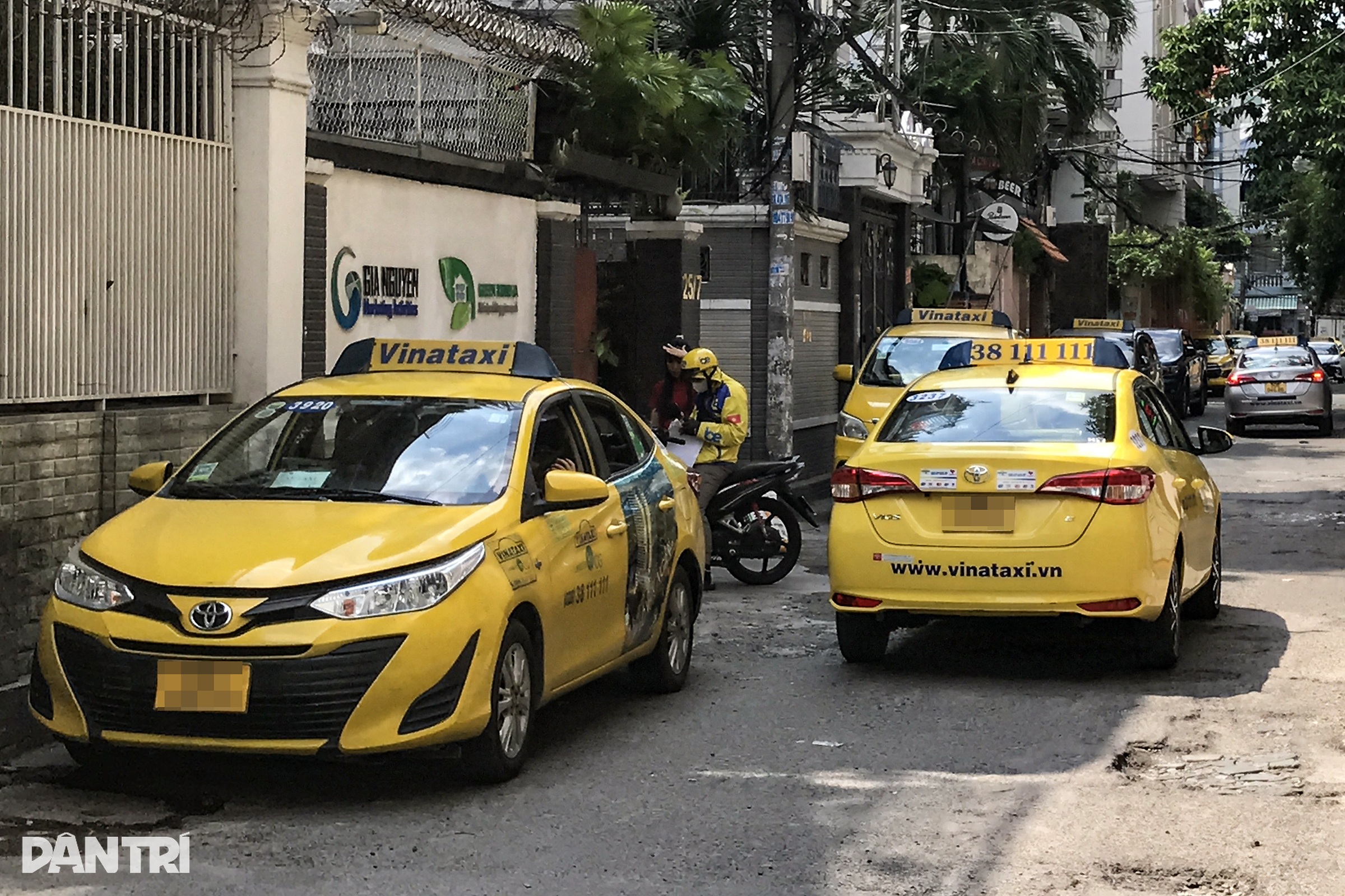 Có bãi đệm, taxi vẫn dừng bờ đậu bụi quanh sân bay Tân Sơn Nhất - 1