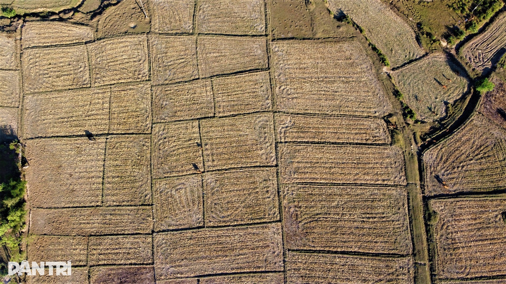 ຂ້າງນີ້ແມ່ນທົ່ງນາຂຽວອຸ່ມທຸ່ມ, ອີກດ້ານໜຶ່ງທົ່ງນາແຫ້ງແລ້ງ - 4 Cách nhau một con kênh, bên này lúa xanh tốt, bên kia ruộng đồng khô hạn - 4