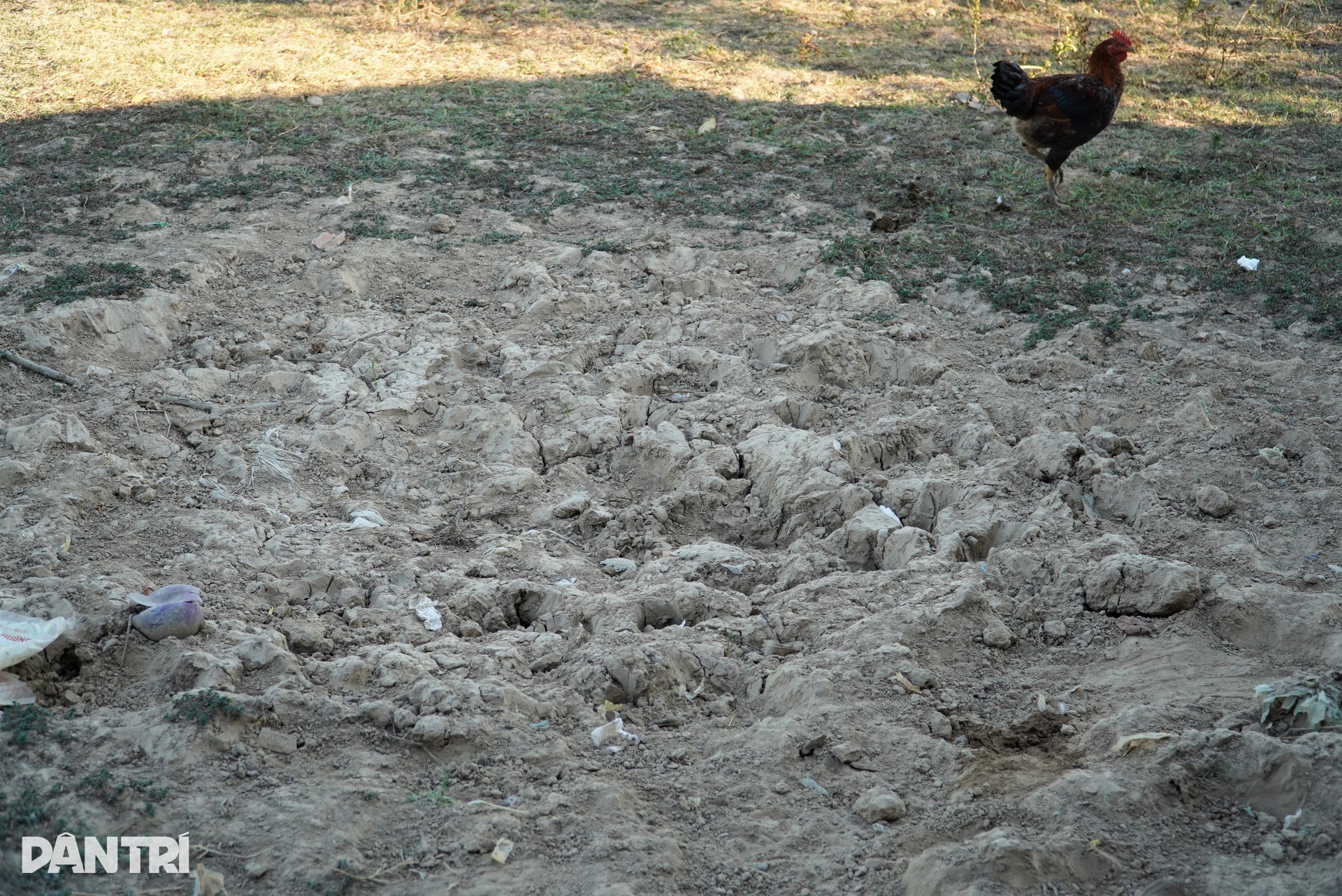 ແຍກອອກດ້ວຍຄອງນ້ຳ, ດ້ານນີ້ເຂົ້າຂຽວສົດ, ອີກດ້ານໜຶ່ງທົ່ງນາແຫ້ງແລ້ງ - 6. Cách nhau một con kênh, bên này lúa xanh tốt, bên kia ruộng đồng khô hạn - 6
