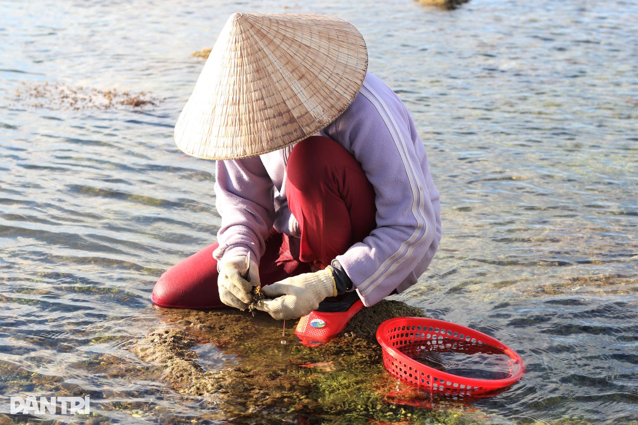 ໂກງຫຼັງ, ງໍຫົວເຂົ່າຂູດເງິນຢູ່ເທິງໂງ່ນຫີນ - 2 Còng lưng, khom gối cạo tiền trên ghềnh đá - 2