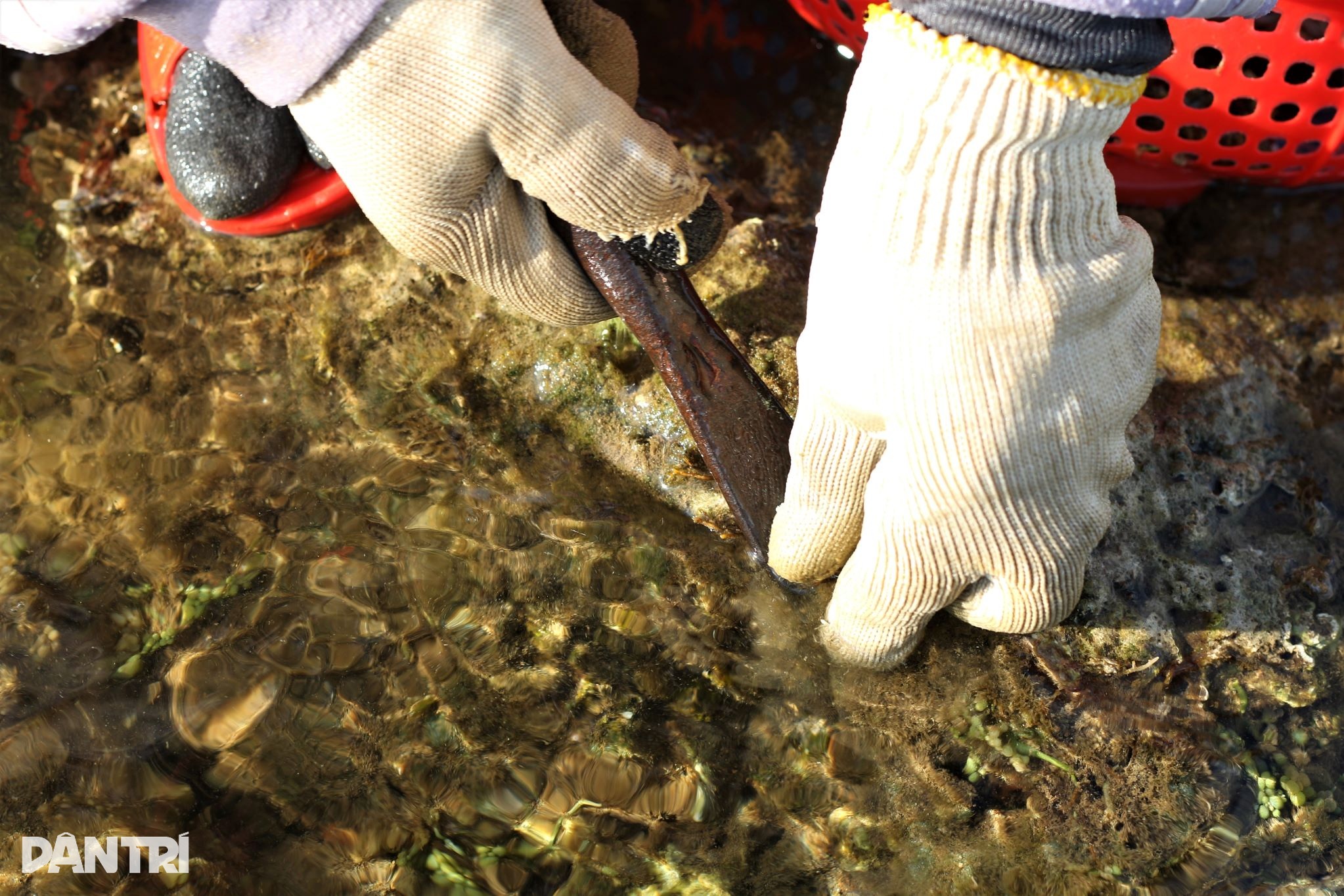 ກົ້ມຫົວ, ງໍເຂົ່າຂູດເງິນຢູ່ເທິງໂງ່ນຫີນ - 3 Còng lưng, khom gối cạo tiền trên ghềnh đá - 3