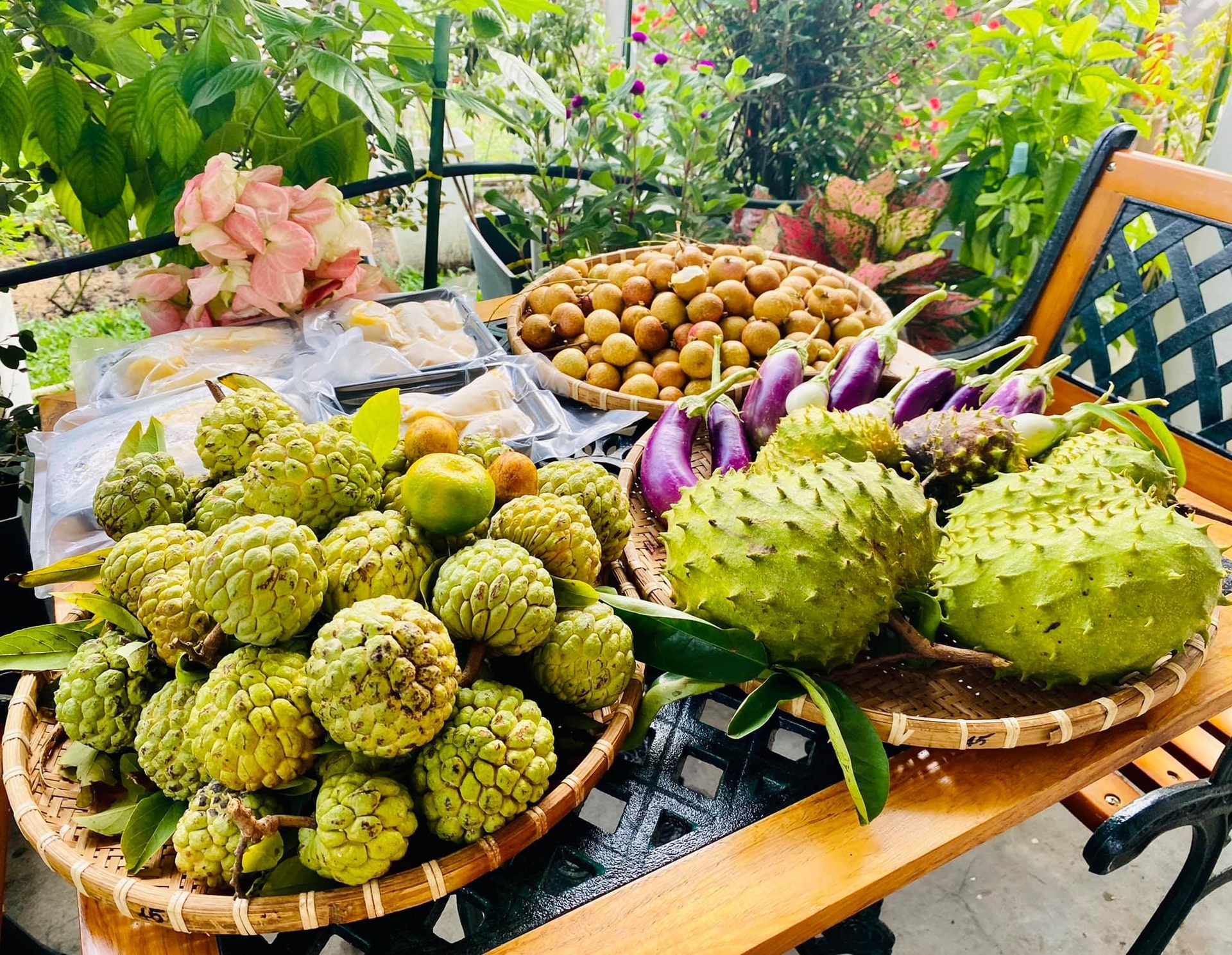 View - Vườn cây 450m2 của mẹ Việt ở Malaysia, quanh năm sai trĩu hoa quả | Báo Dân trí