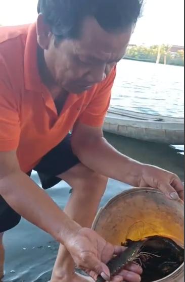 Εκτρέφοντας ένα ψάρι που κολυμπάει ανάποδα, εναλλάξ με καβούρια και ψάρια, ο ηλικιωμένος αγρότης αποκομίζει τεράστια κέρδη - 2 Nuôi con bơi giật lùi xen cua và cá, lão nông thu lãi khủng - 2