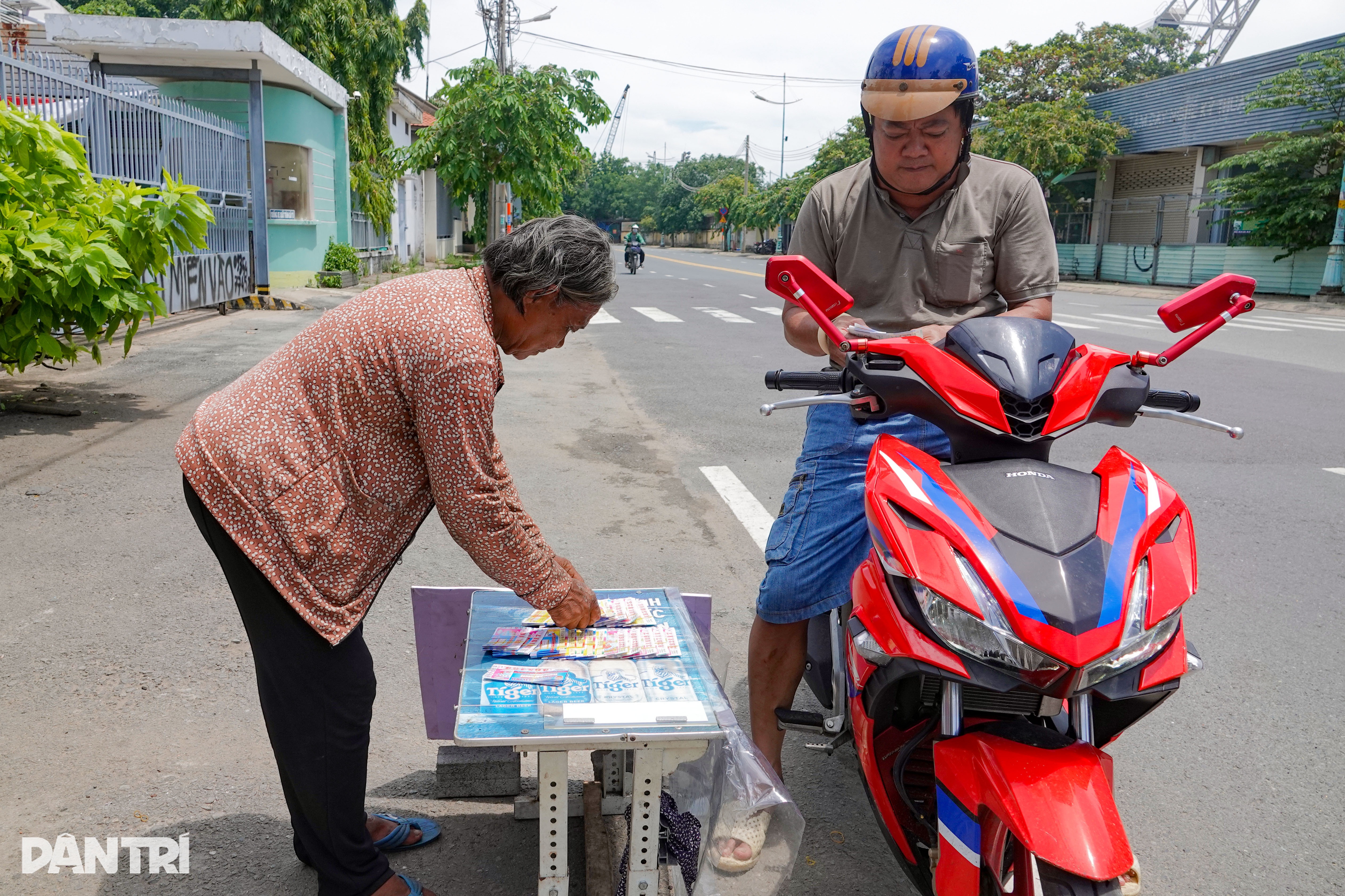 View - Cụ bà 80 bán vé số nuôi đàn chó: "Đói xỉu mấy lần nhưng bọn nhỏ phải no!" | Báo Dân trí