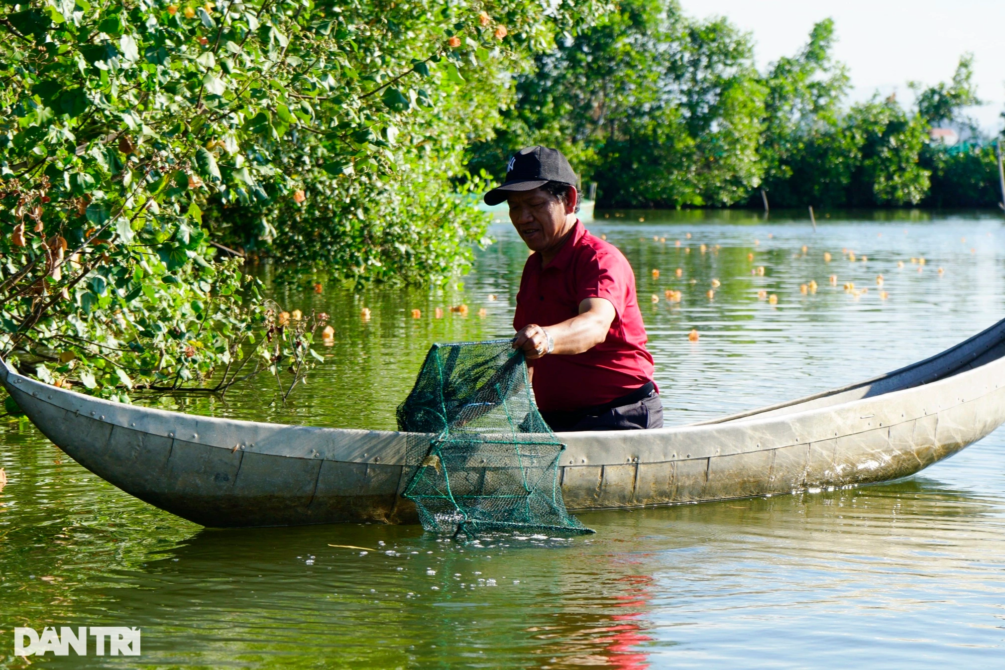 Εκτρέφοντας ένα ψάρι που κολυμπάει ανάποδα, εναλλάξ με καβούρια και ψάρια, ο ηλικιωμένος αγρότης αποκομίζει τεράστια κέρδη - 1 Nuôi con bơi giật lùi xen cua và cá, lão nông thu lãi khủng - 1