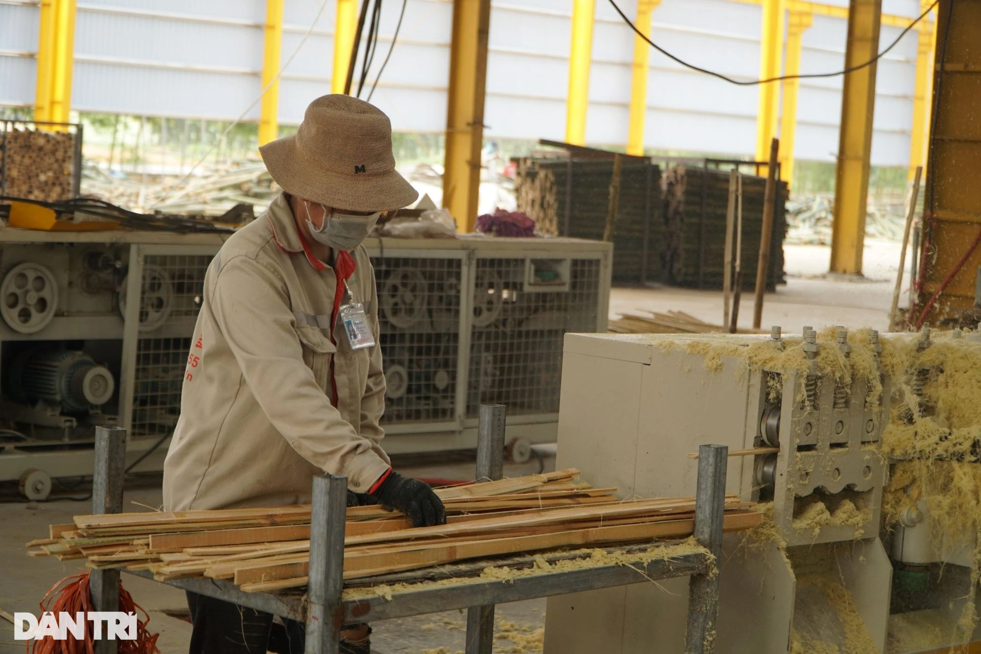 ໃນ 6 ເດືອນຕົ້ນປີ, ມີແຮງງານຫຼາຍກວ່າ 30.000 ຄົນ - 3. 6 tháng đầu năm, hơn 30.000 lao động được giải quyết việc làm - 3