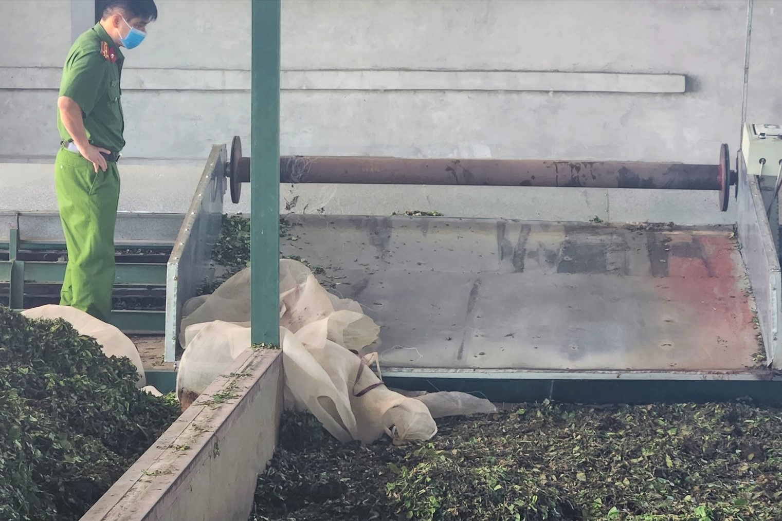 ຄົນງານເພດຍິງເສຍຊີວິດຄາທີ່ 1 Nữ công nhân tử vong trong máy cuốn chè - 1