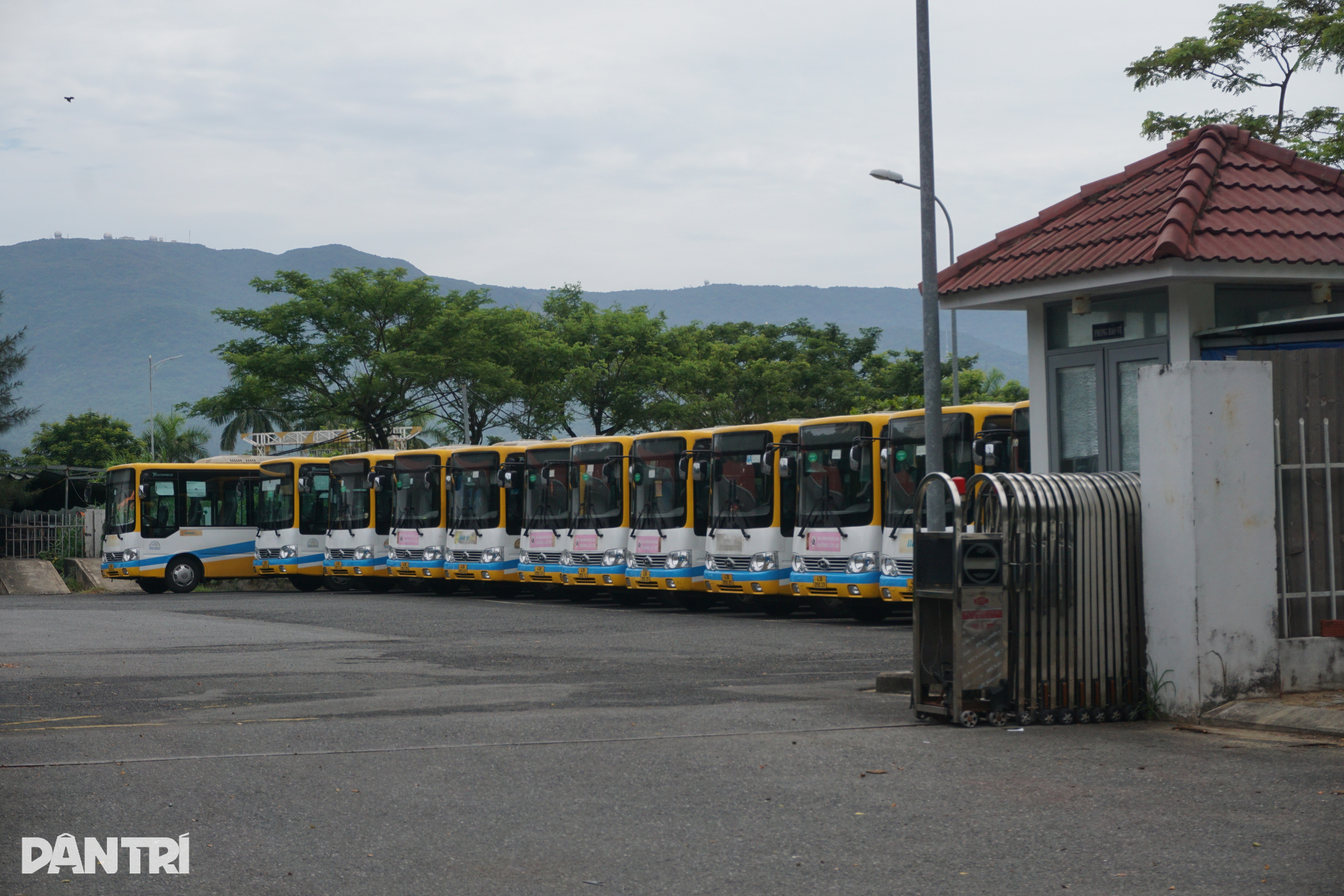 Tài xế xe buýt nhận sổ bảo hiểm chỉ có bìa, phần ruột không biết ra sao - 3 Tài xế xe buýt nhận sổ bảo hiểm chỉ có bìa, phần ruột không biết ra sao - 3