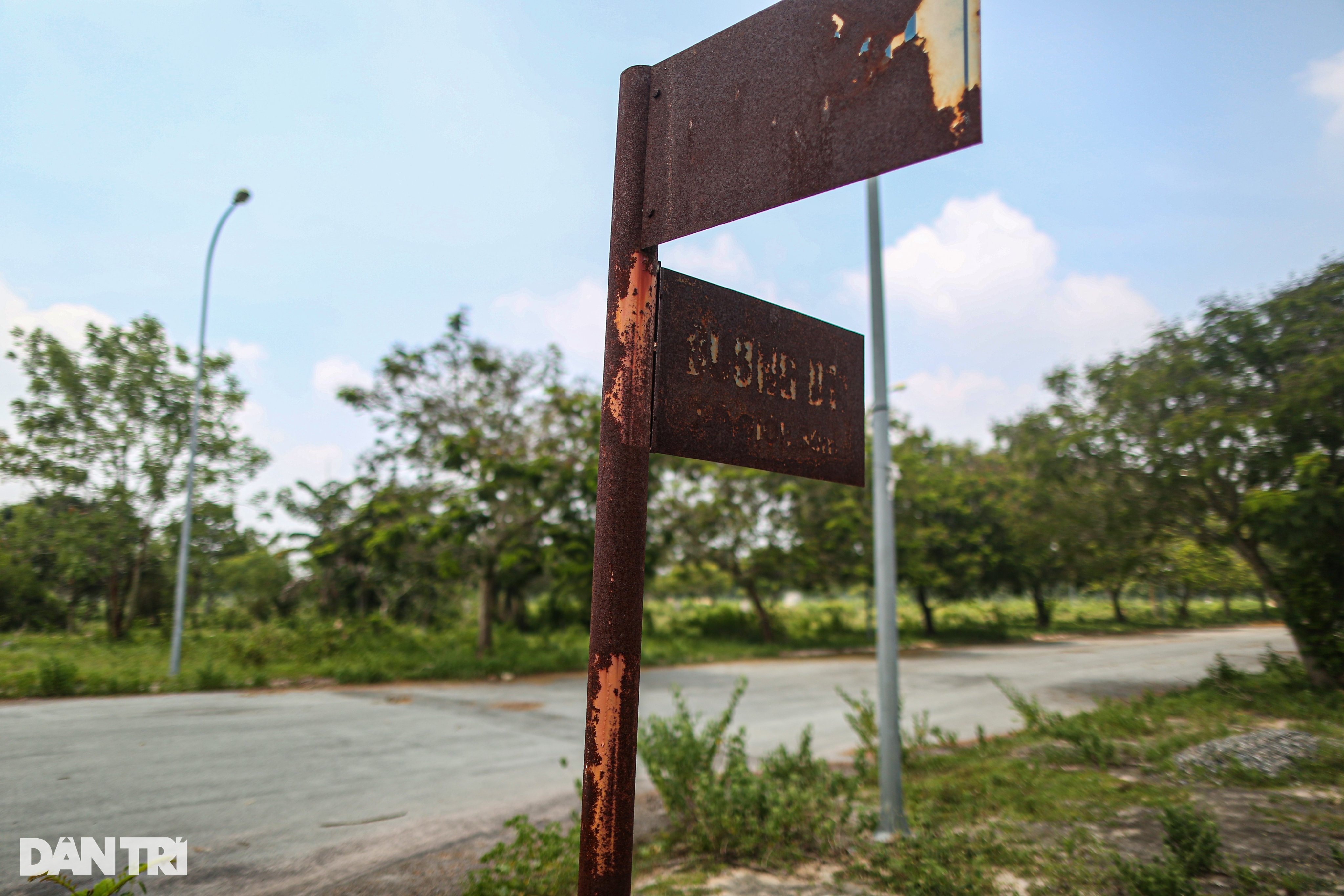 Thành phố ma Nhơn Trạch hoang tàn, thành nơi thả trâu sau 20 năm - 9