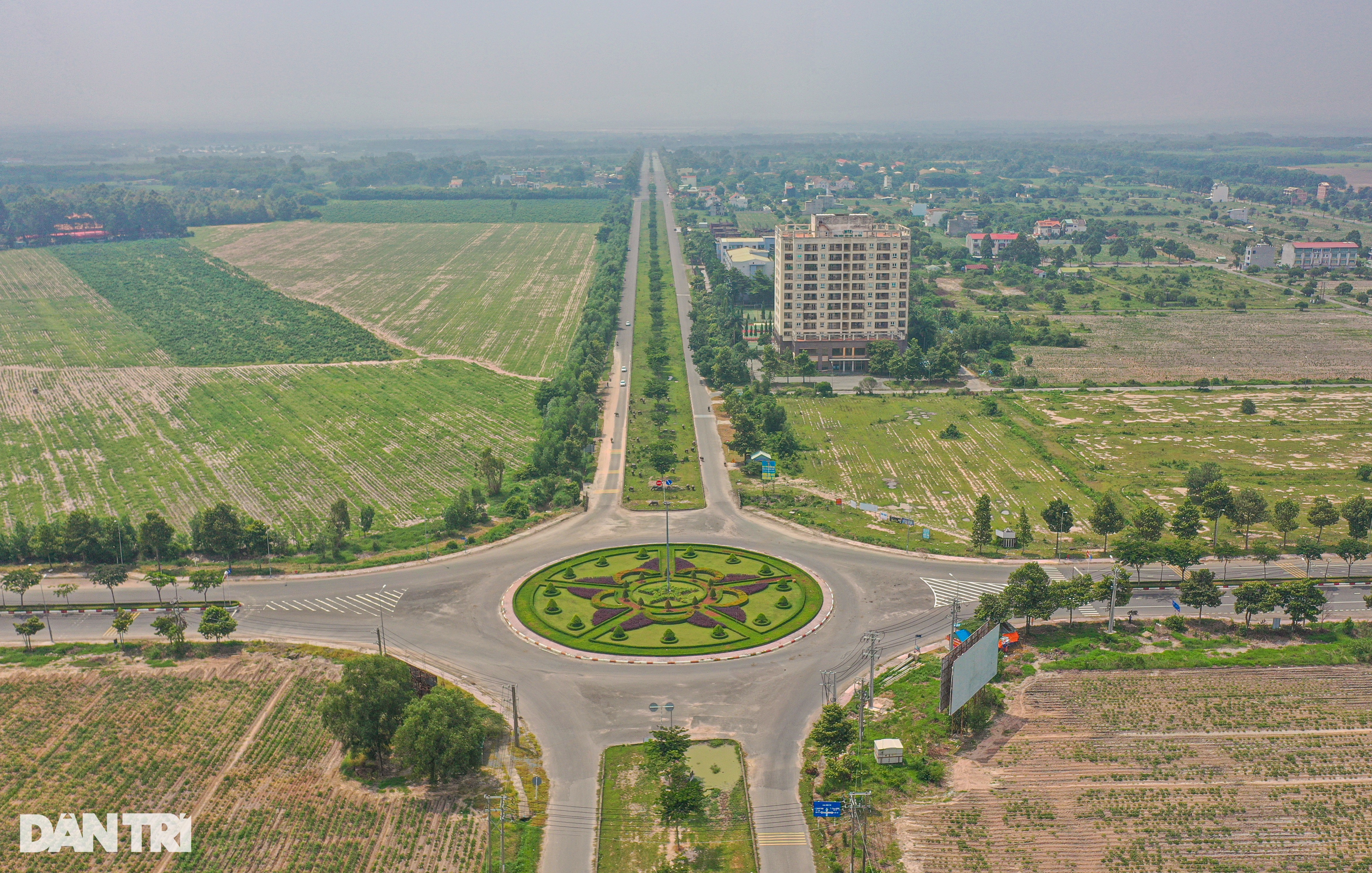 Thành phố ma Nhơn Trạch hoang tàn, thành nơi thả trâu sau 20 năm - 13