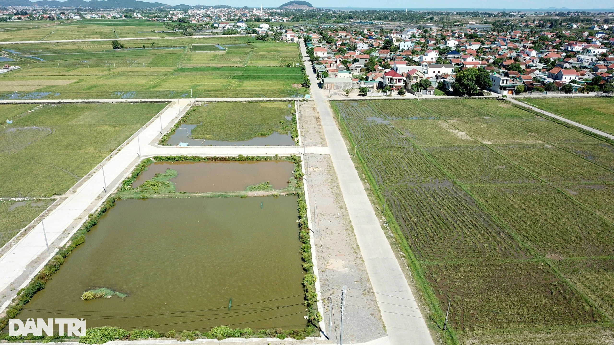 Cận cảnh khu vực em trai phó chủ tịch huyện trúng đấu giá 23 lô đất - 9 Cận cảnh khu vực em trai phó chủ tịch huyện trúng đấu giá 23 lô đất - 9