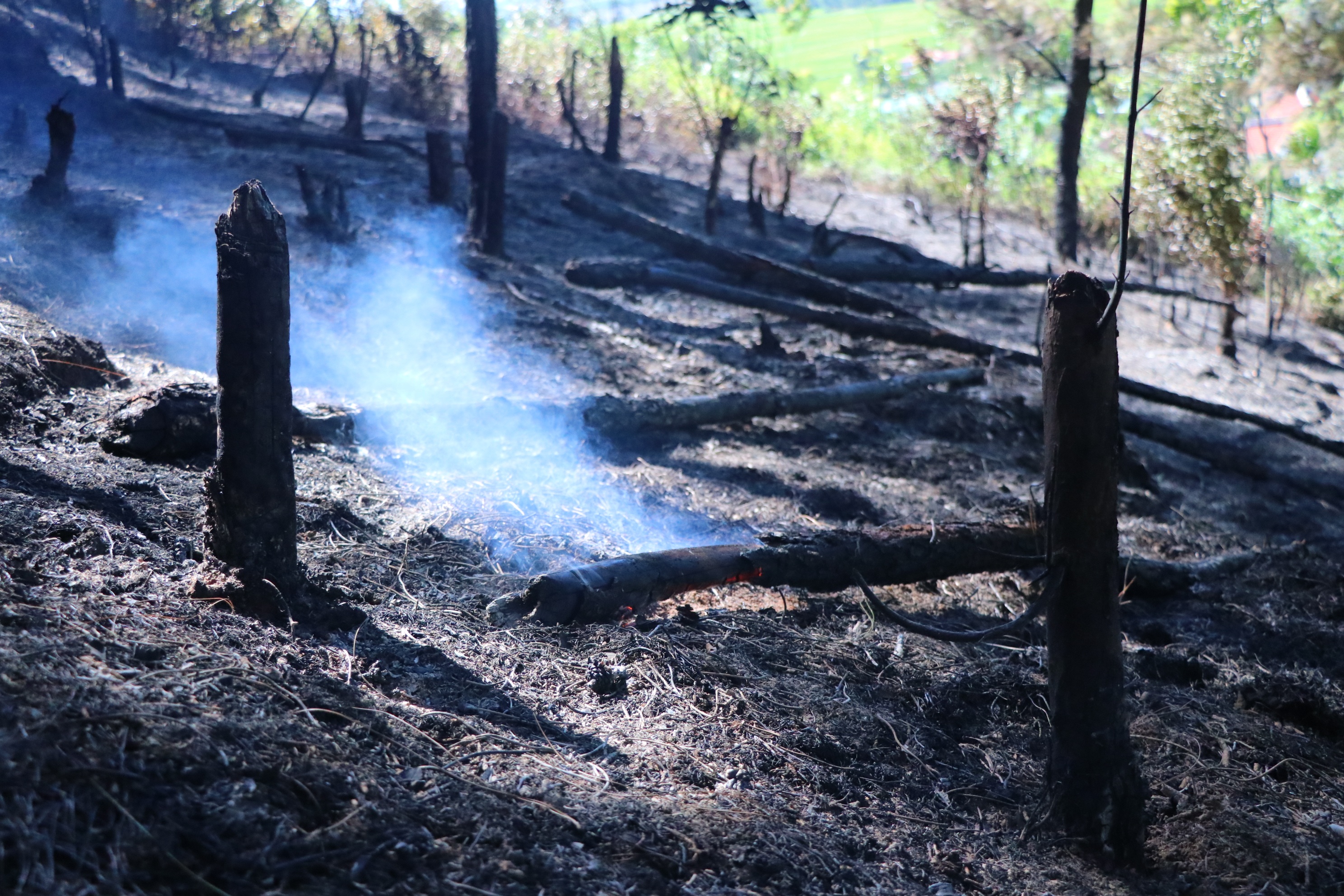 Trắng đêm dập lửa cứu rừng ở Nghệ An - 13