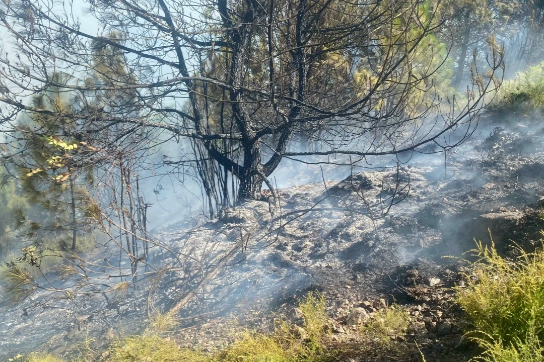 Trắng đêm dập lửa cứu rừng ở Nghệ An - 5