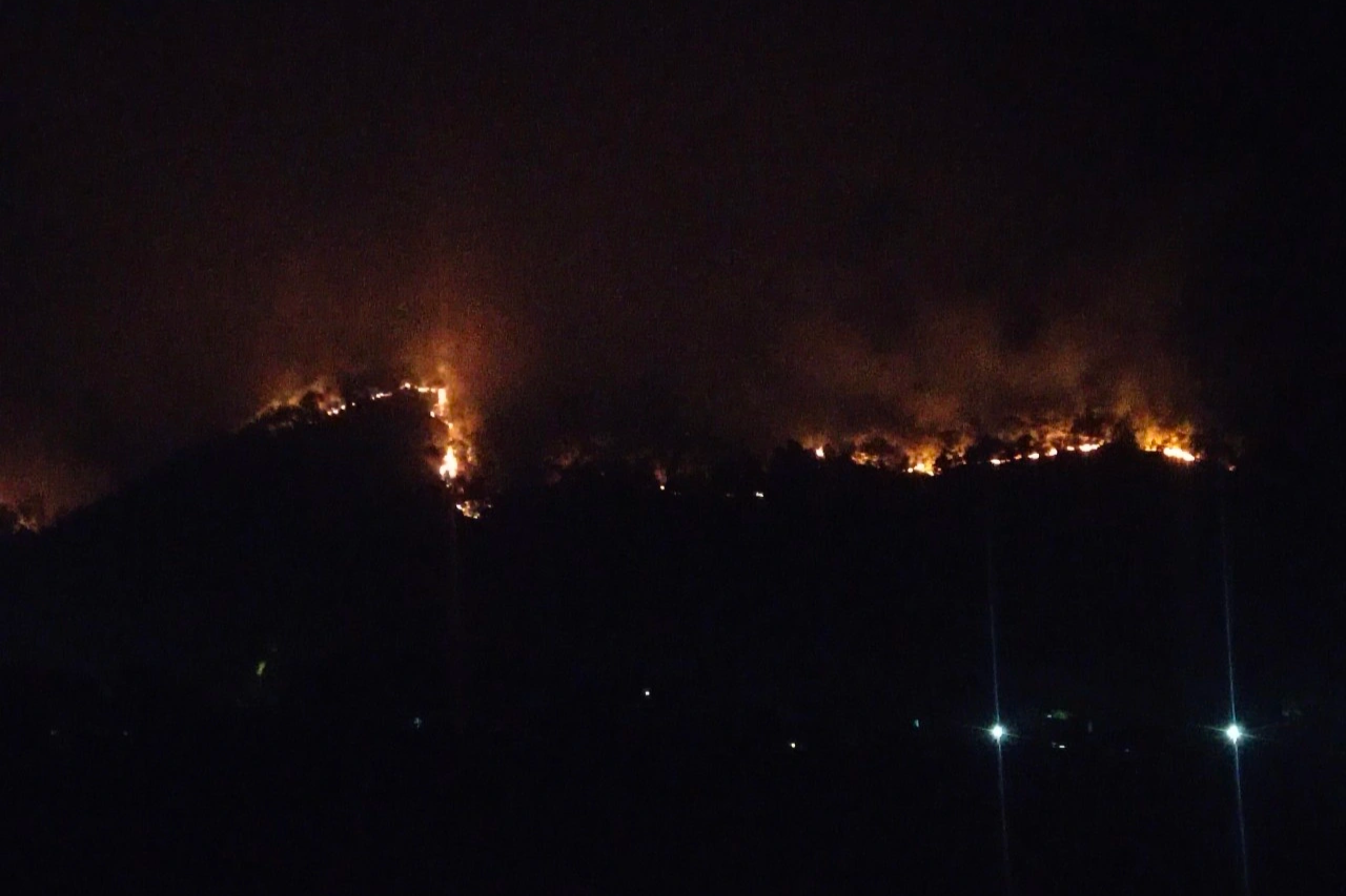 Trắng đêm dập lửa cứu rừng ở Nghệ An - 9
