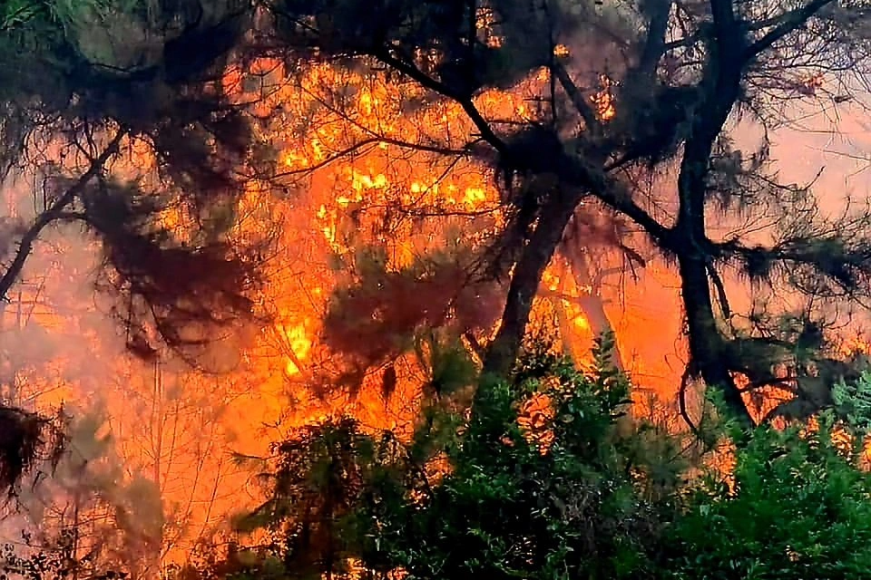 Trắng đêm dập lửa cứu rừng ở Nghệ An - 11