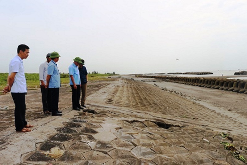 Nam Định và Thái Bình kêu gọi hàng nghìn tàu thuyền vào tránh bão Talim - 1