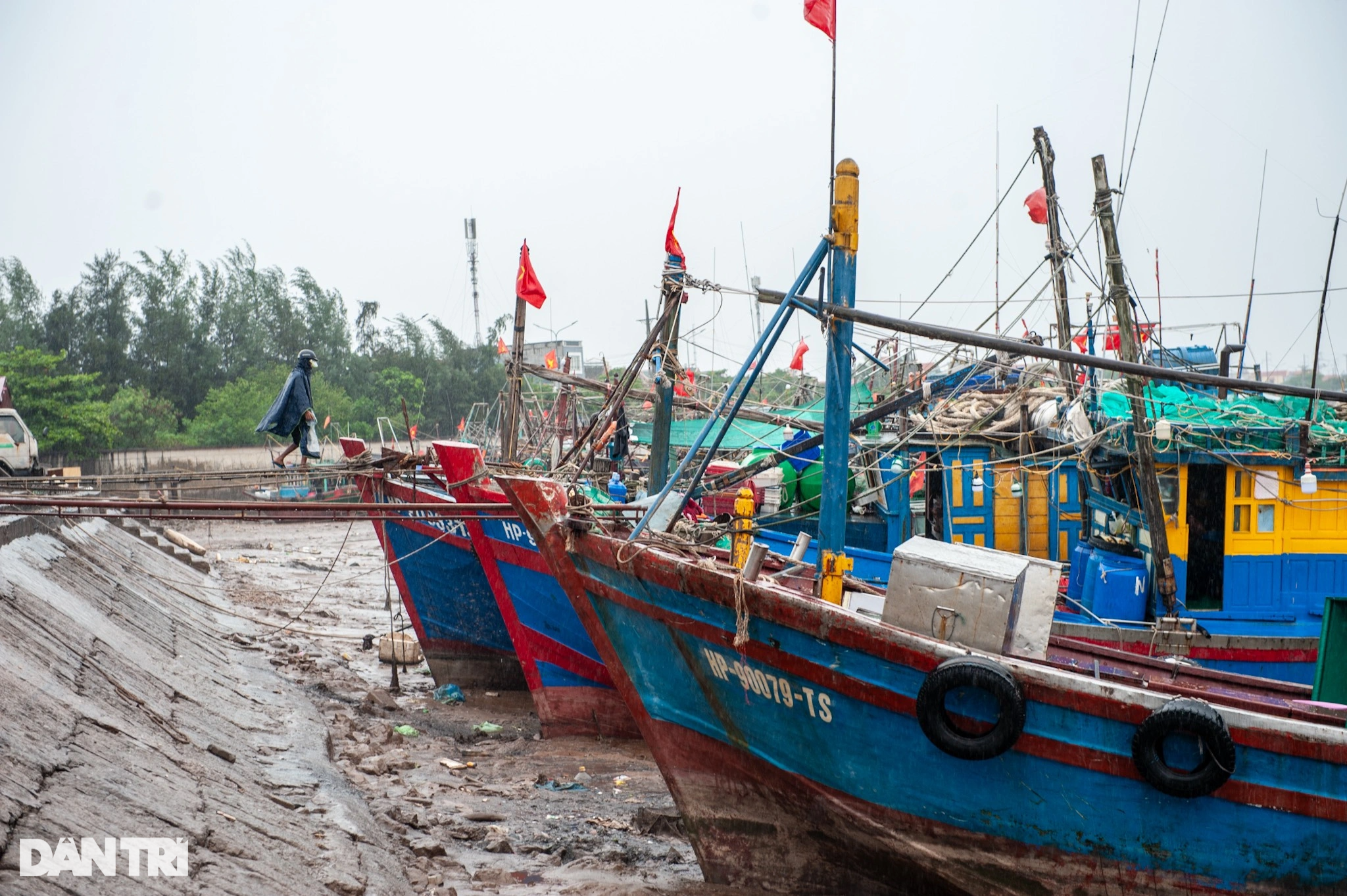 Cảng cá Hải Phòng chằng giữ tàu thuyền, nín thở chờ bão Talim đi qua - 3