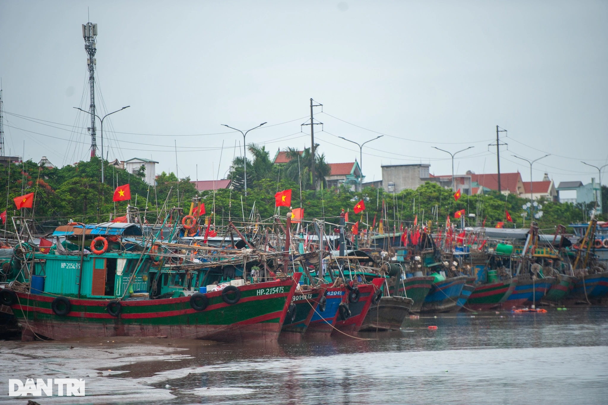 Cảng cá Hải Phòng chằng giữ tàu thuyền, nín thở chờ bão Talim đi qua - 1