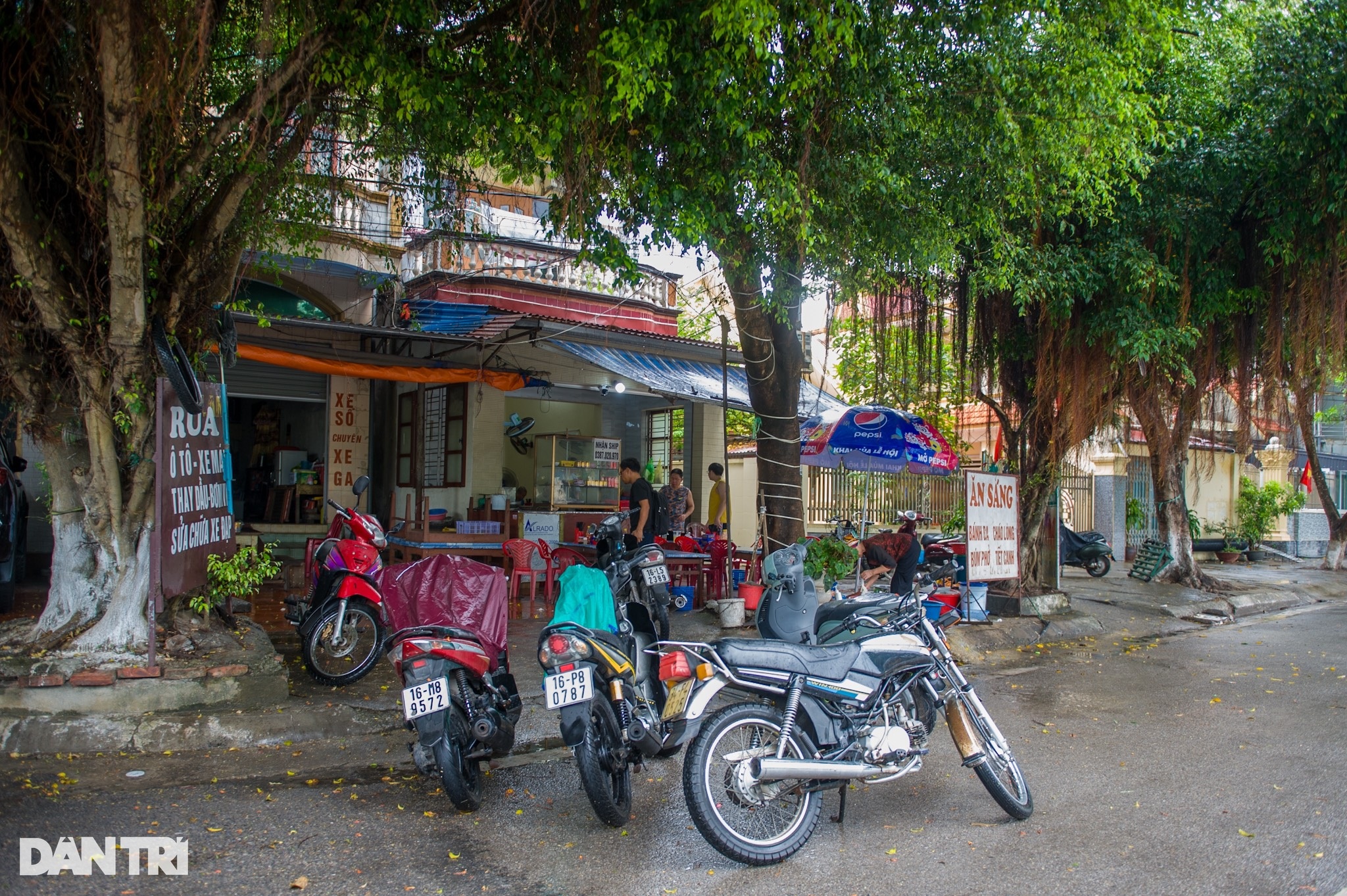 Hải Phòng ngớt mưa, hàng quán ven biển vẫn mở cửa đón khách - 1