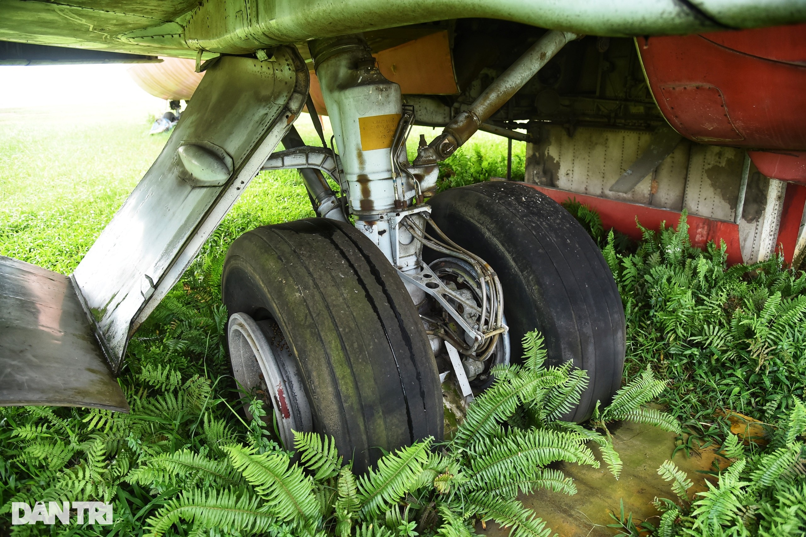 Bên trong máy bay Boeing 727 bị bỏ rơi 16 năm tại Nội Bài - 5