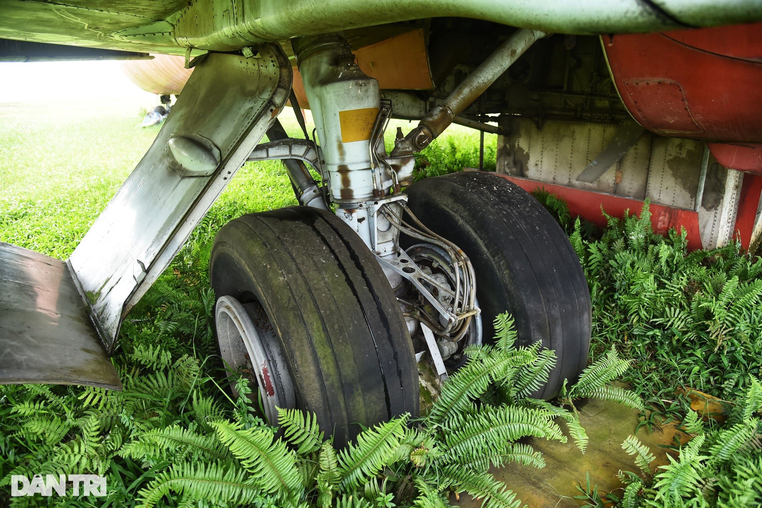 Bên trong máy bay Boeing 727 bị bỏ rơi 16 năm tại Nội Bài - 5 Bên trong máy bay Boeing 727 bị bỏ rơi 16 năm tại Nội Bài - 5