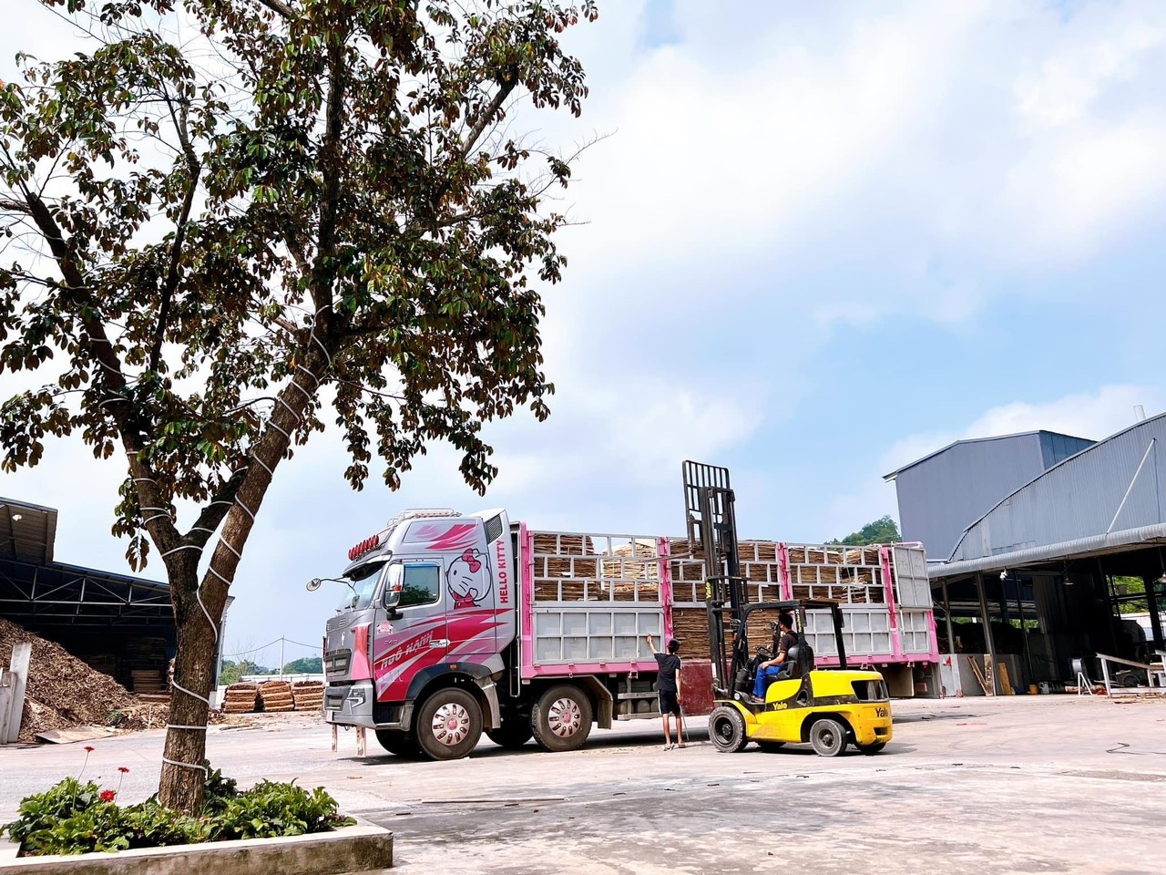 View - Nữ tài xế xinh đẹp Thái Nguyên gây sốt: Lái xe 30 tấn chinh phục đường đèo | Báo Dân trí