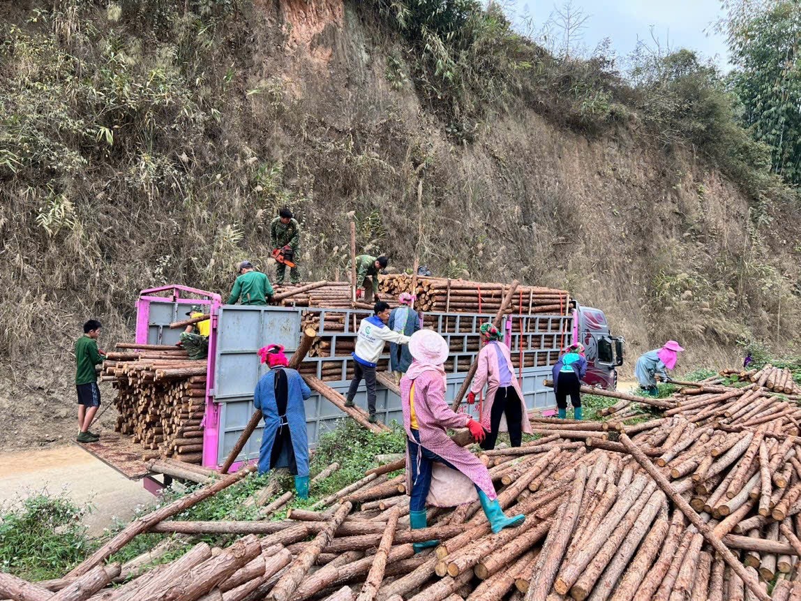 View - Nữ tài xế xinh đẹp Thái Nguyên gây sốt: Lái xe 30 tấn chinh phục đường đèo | Báo Dân trí