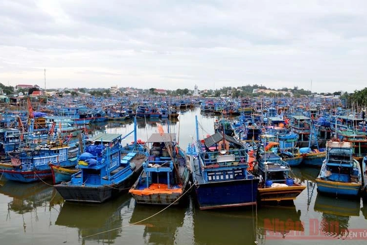 Sóng đánh chìm thuyền ở biển Bình Thuận, một ngư dân mất tích - 1