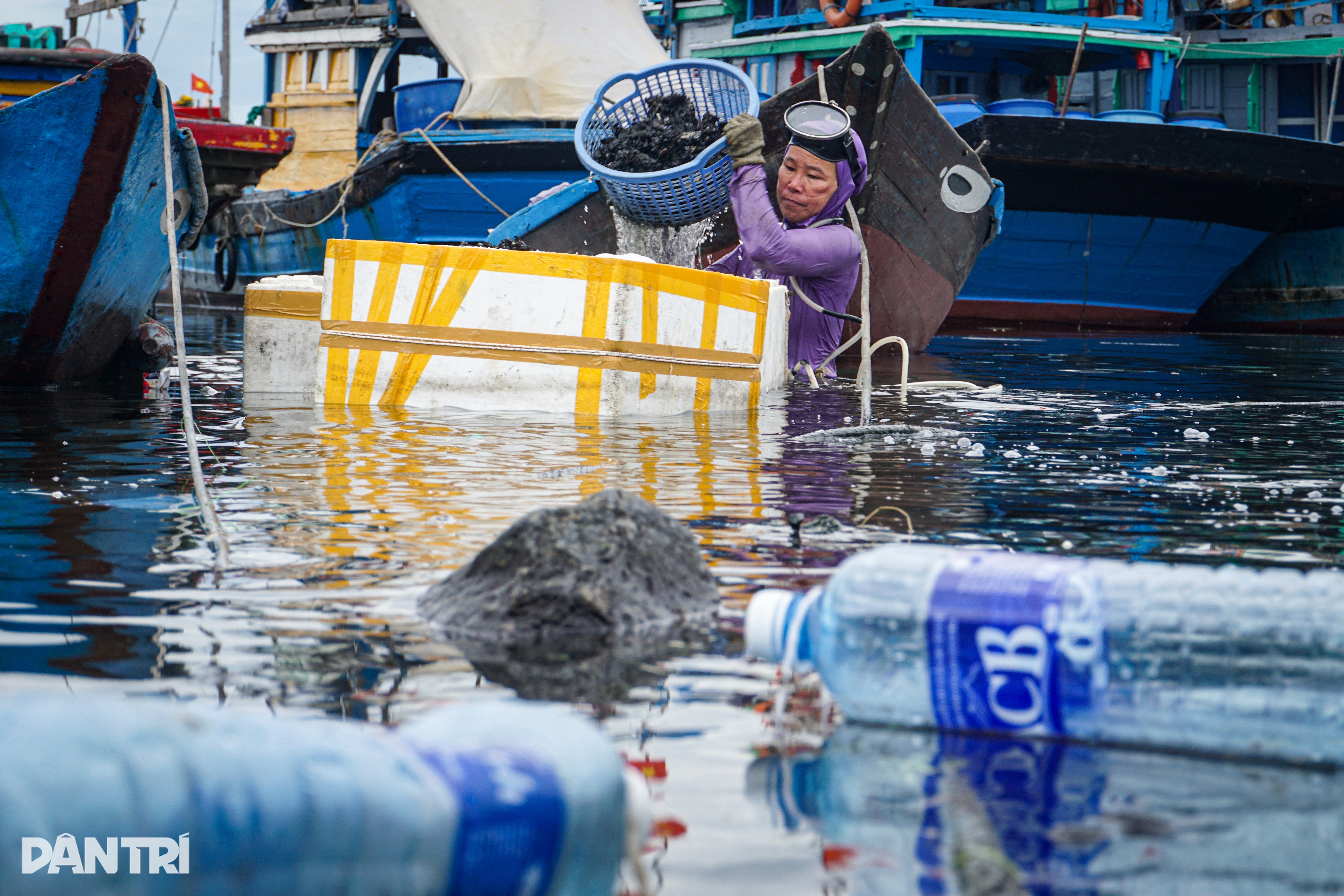 Profesi melilitkan rantai besi di tubuh, menantang Dewa Sungai di dasar sungai - 3 Nghề cuốn xích sắt vào người, thách thức Hà Bá ở đáy sông - 3